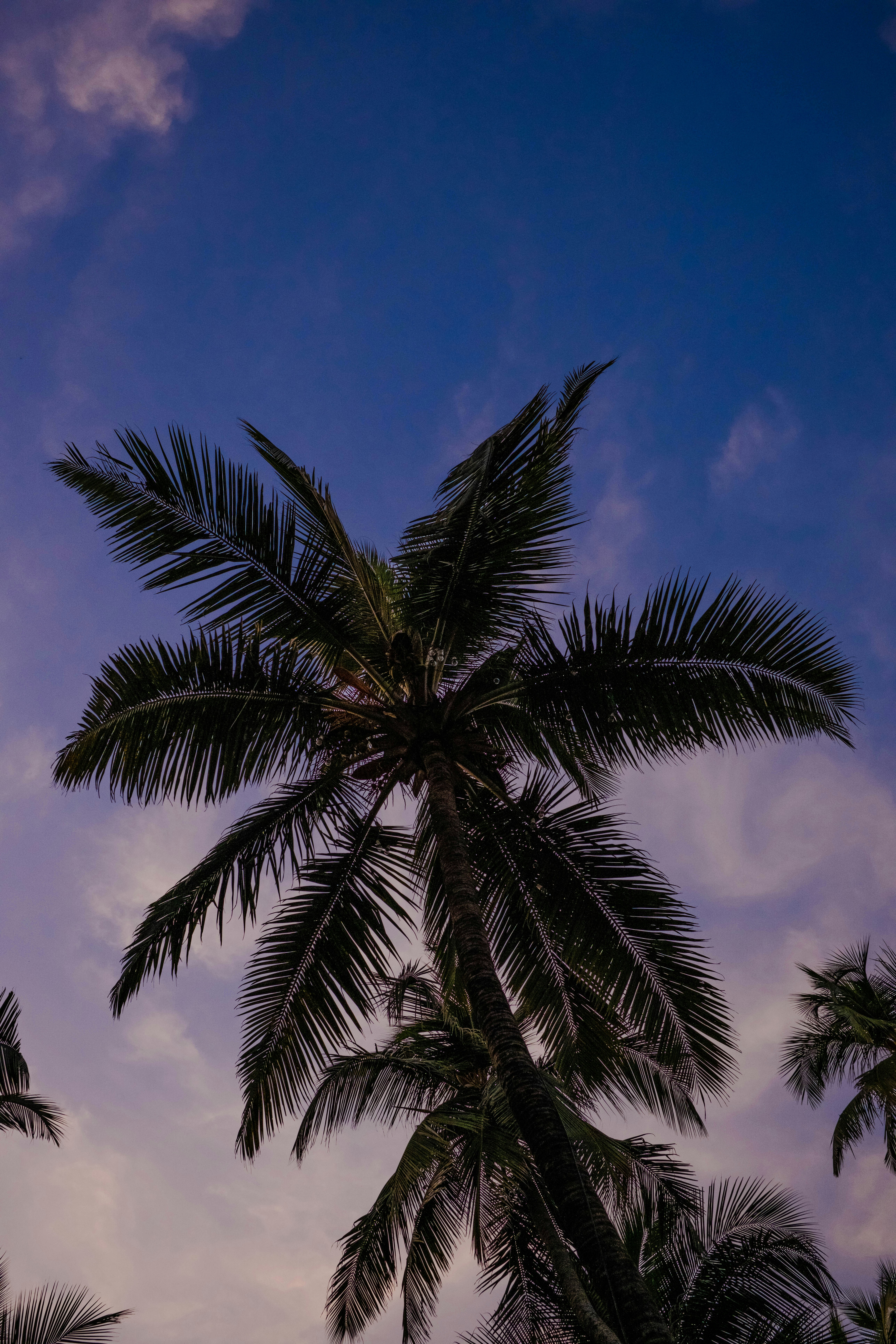 Photo by ishaanthephotoman