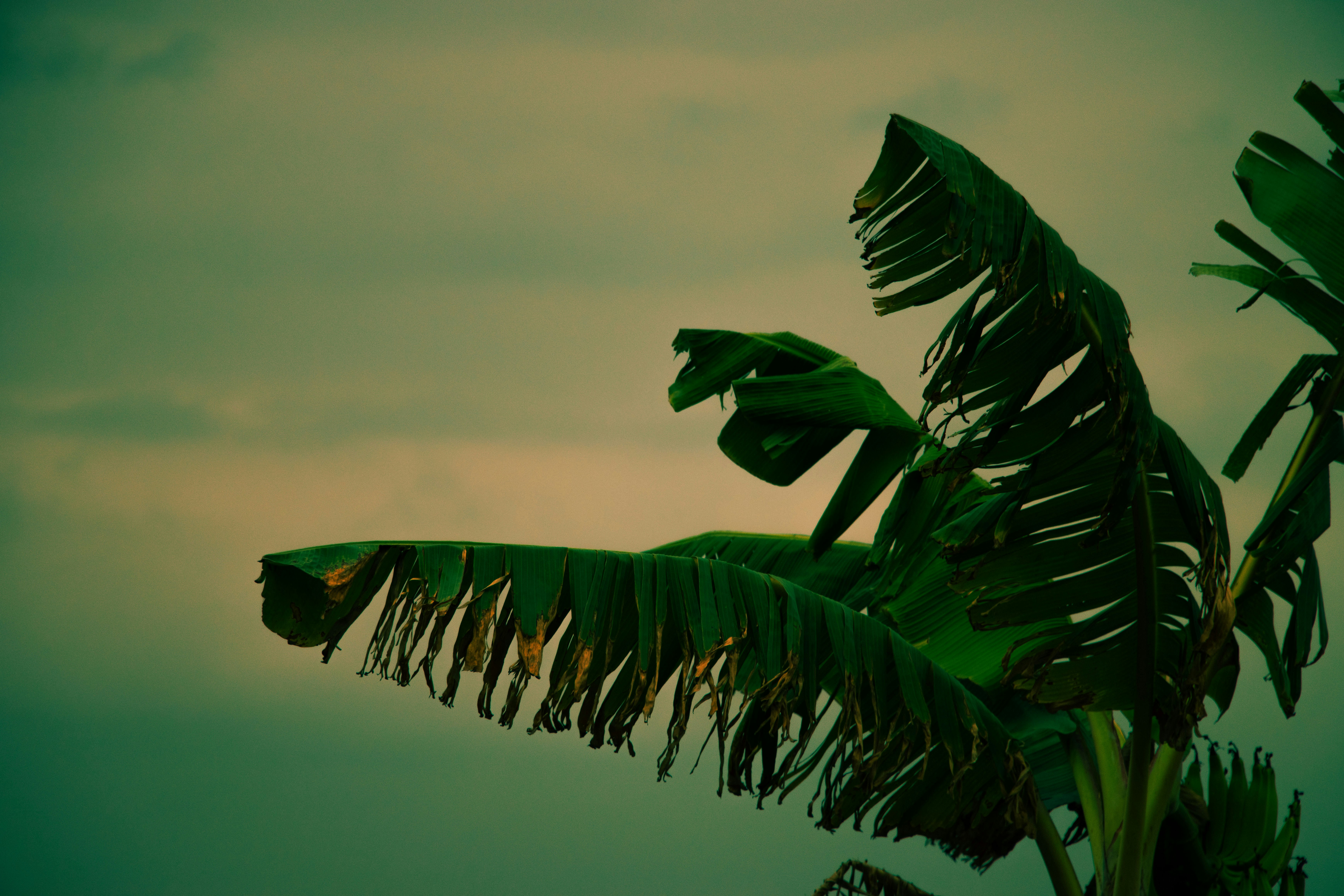 Photo by frandphotos