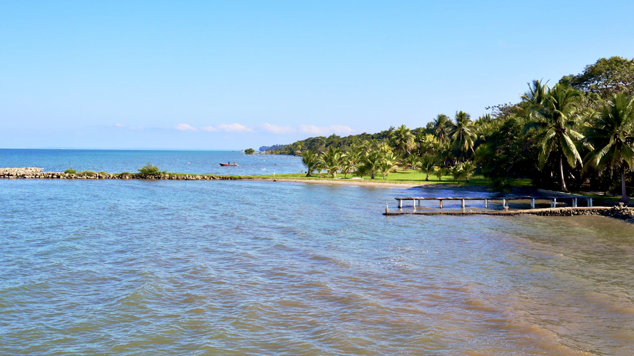 Tropical beach with palm trees and clear blue water