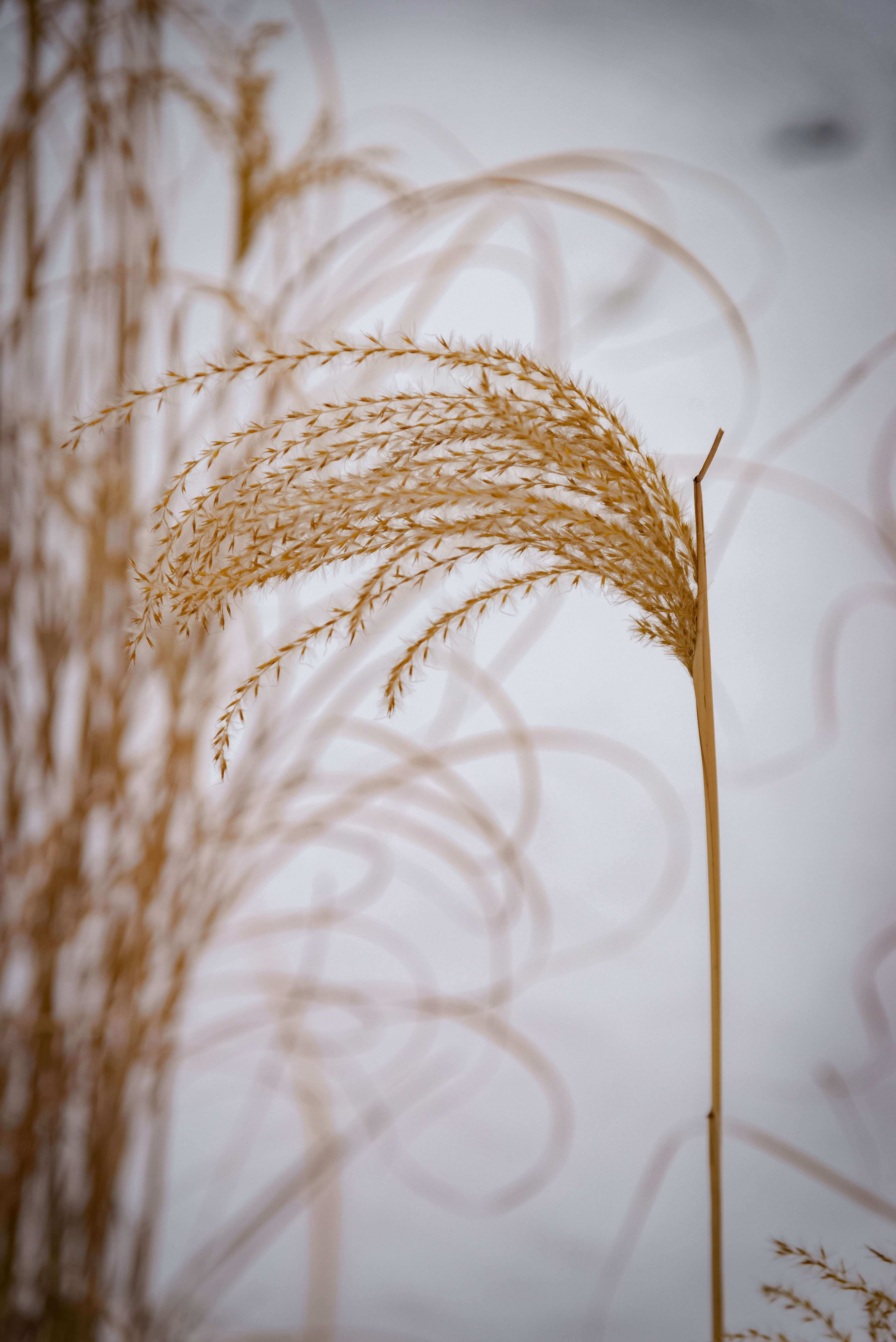 Photo by malwinanogaj