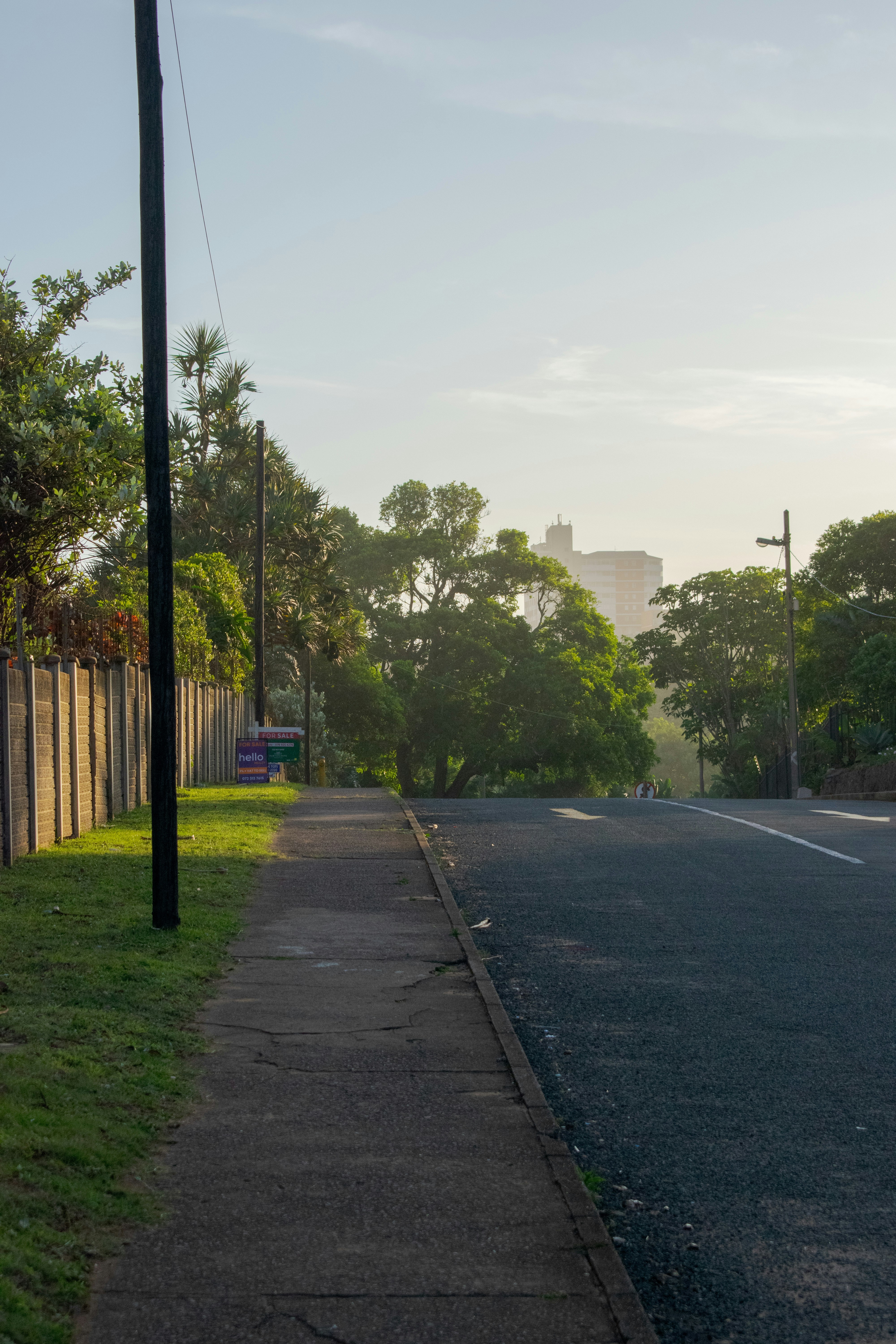 A quiet street with a sidewalk and trees at sunrise.
