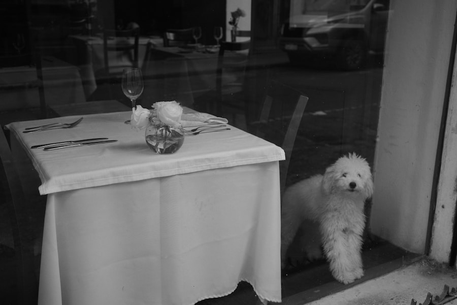 Foods Dogs Cannot Eat: 30 Toxic Foods Every Owner Must Know