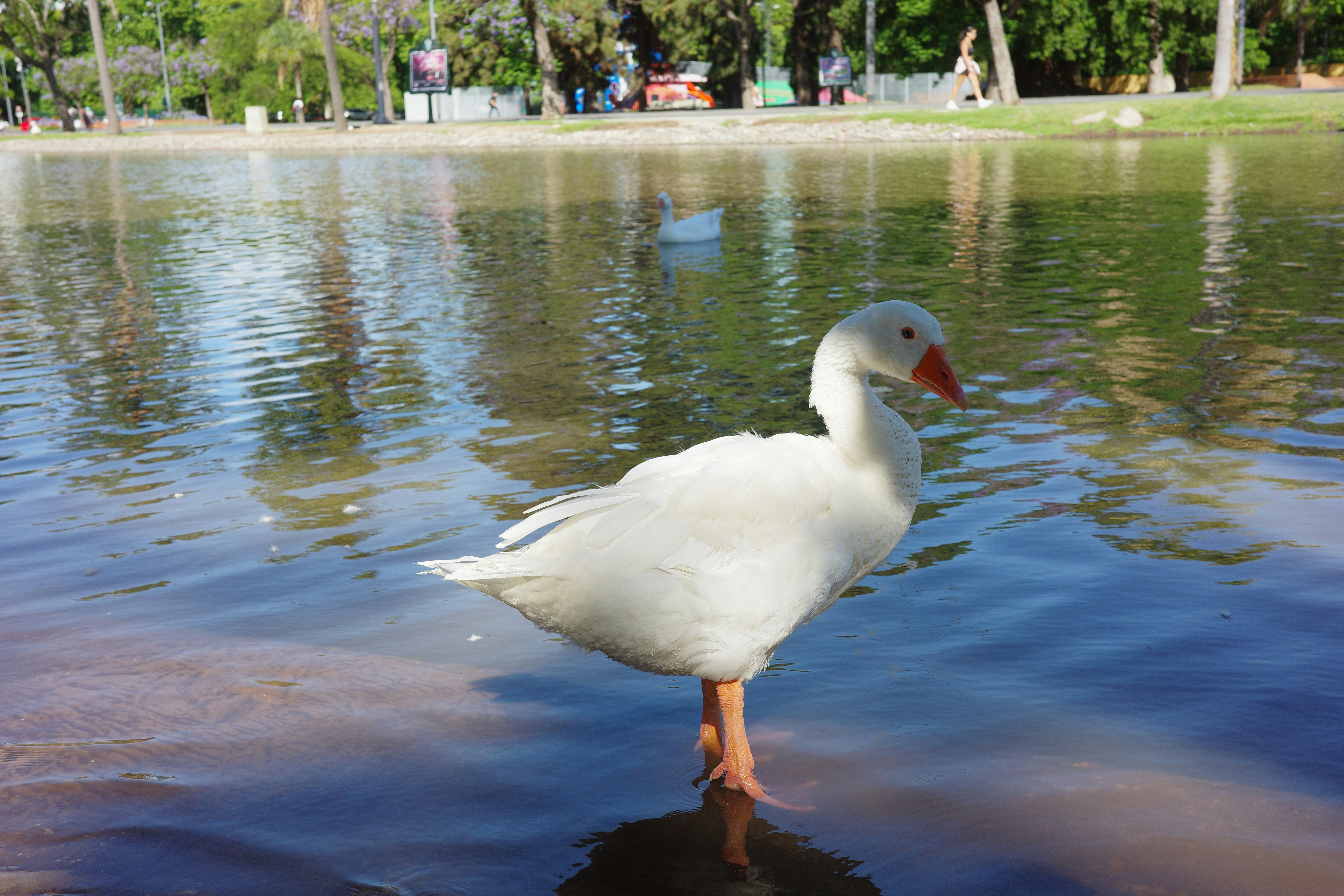 Photo by cheesy_daniel