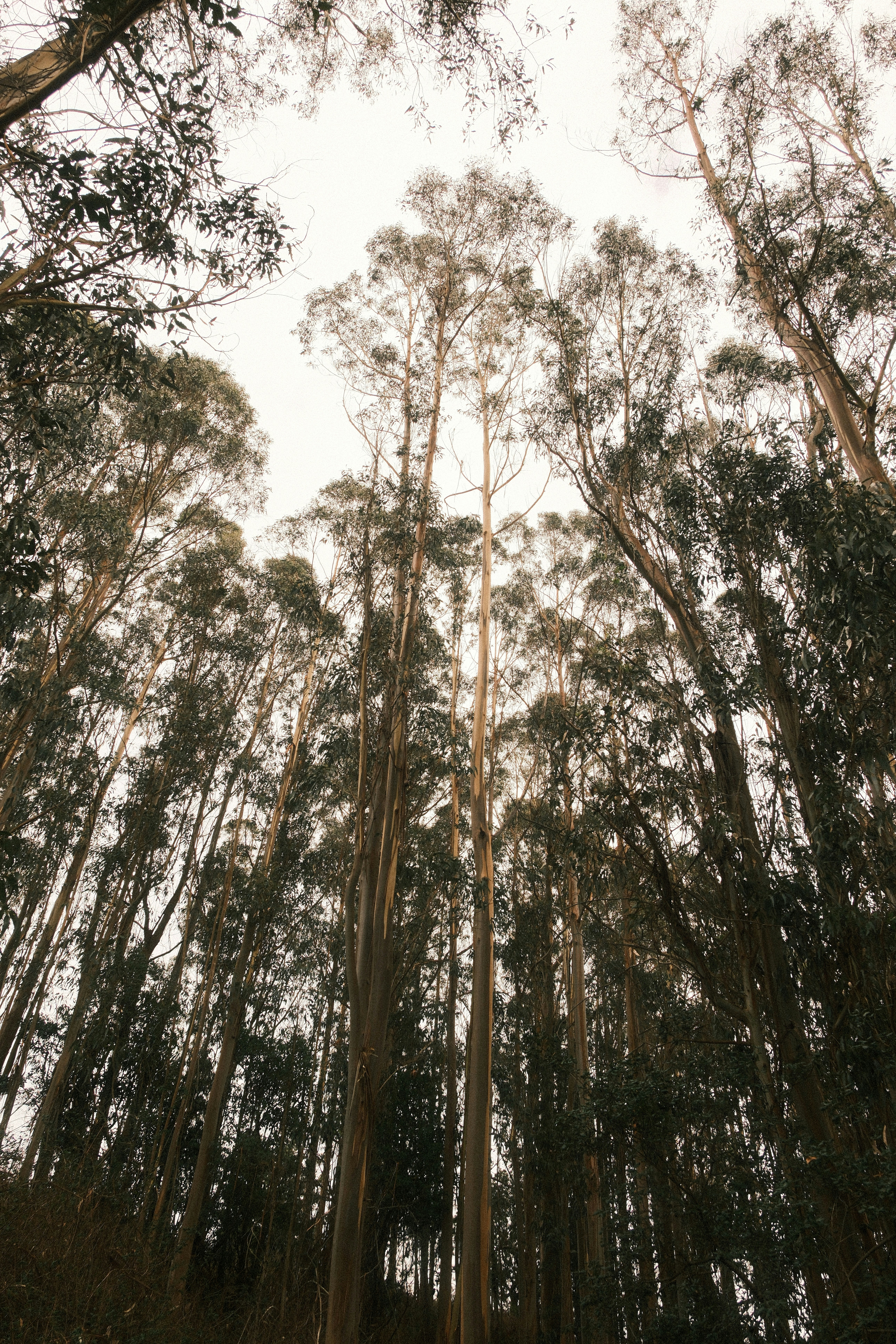 Photo by kalaniparker