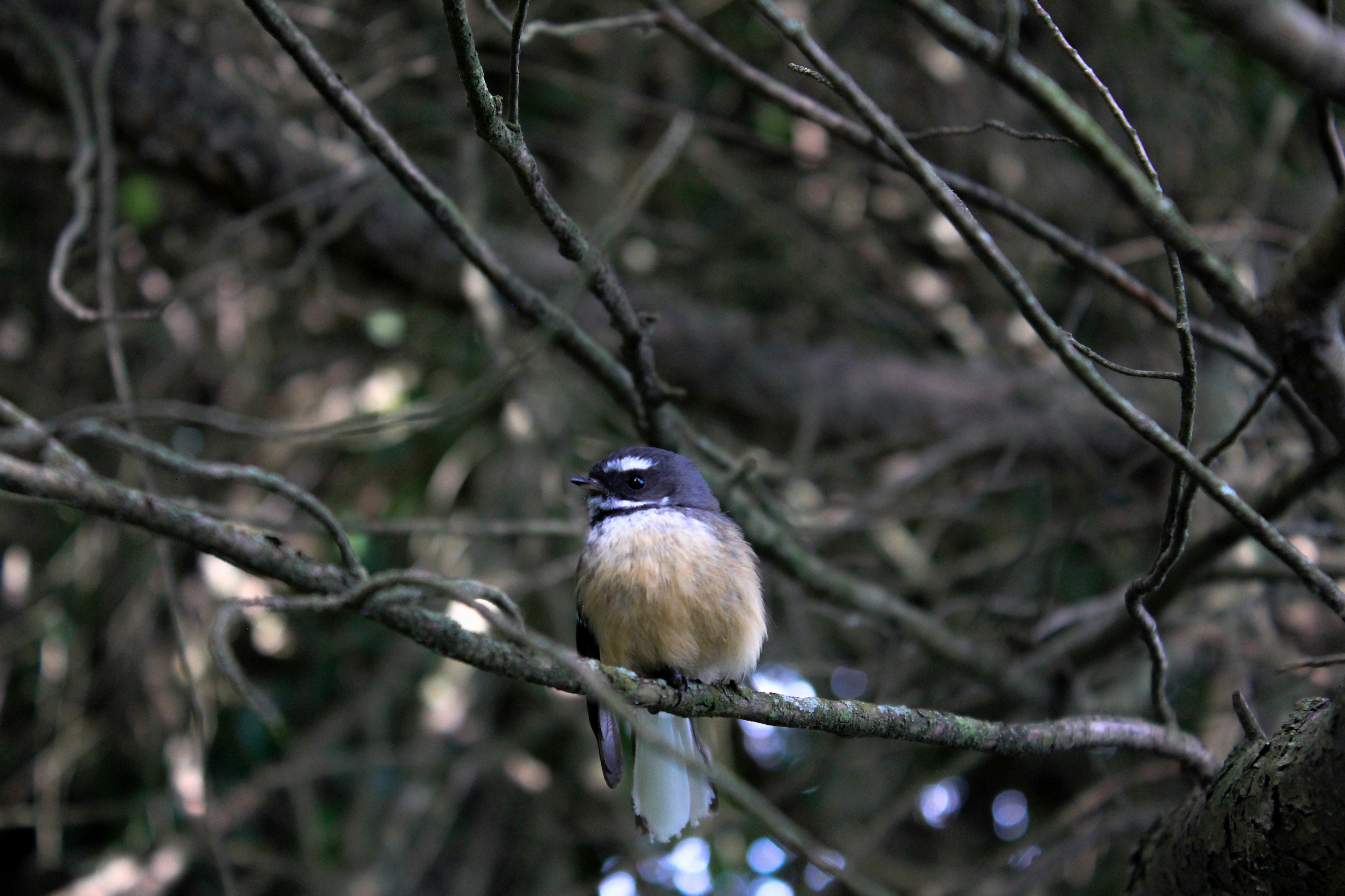 Photo by adele_stack