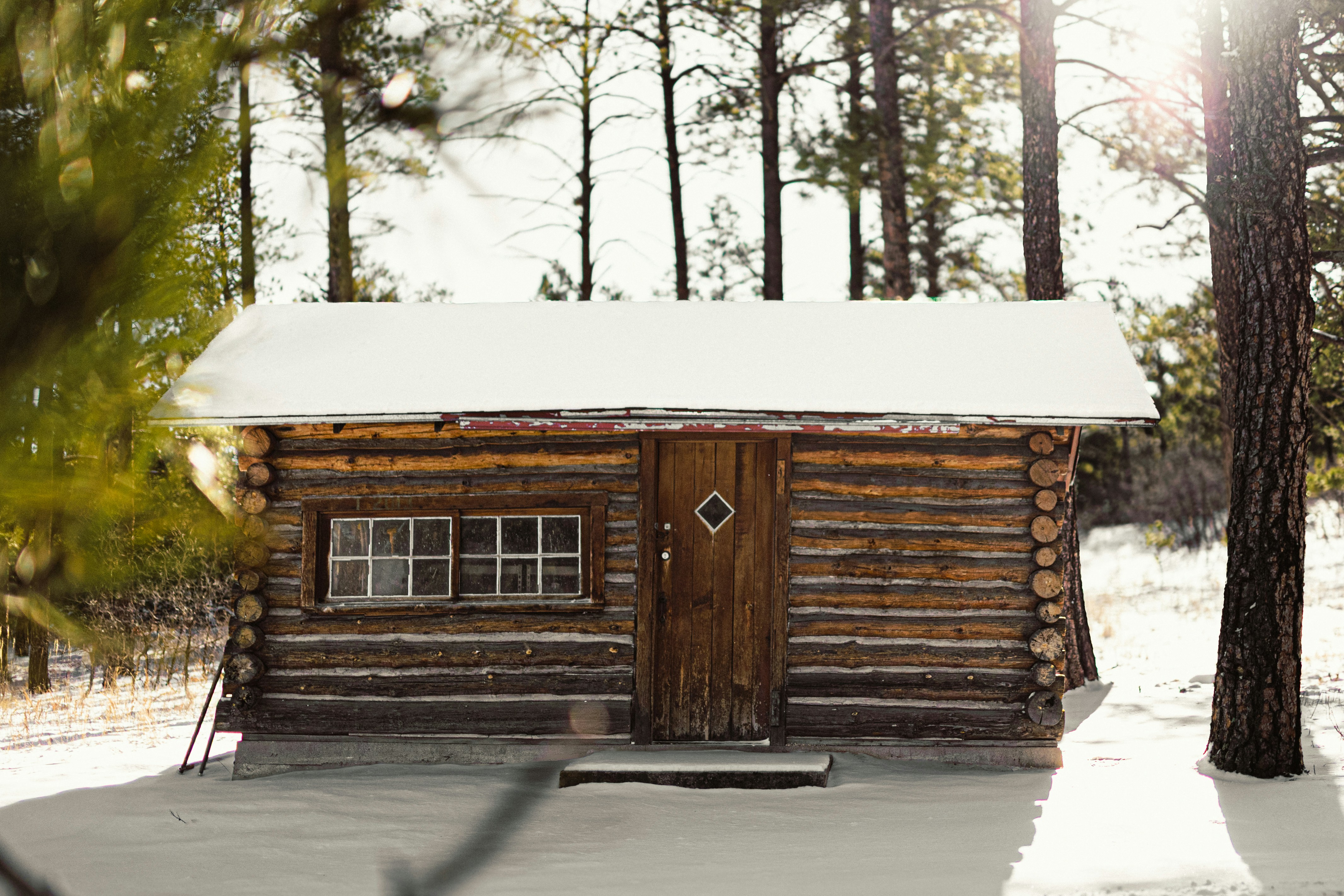 Photo by tayannphoto