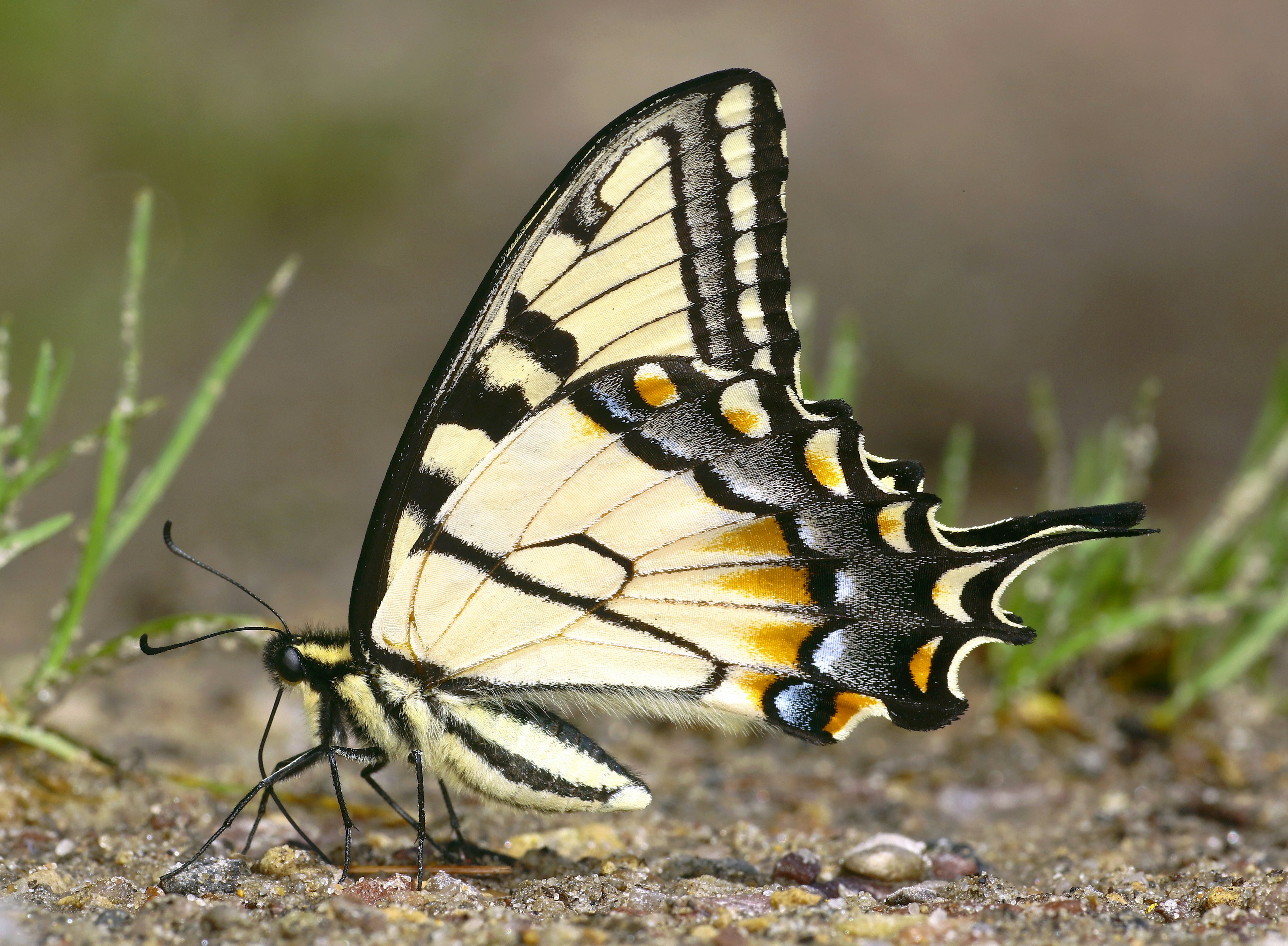 Photo by telliottmbamsc