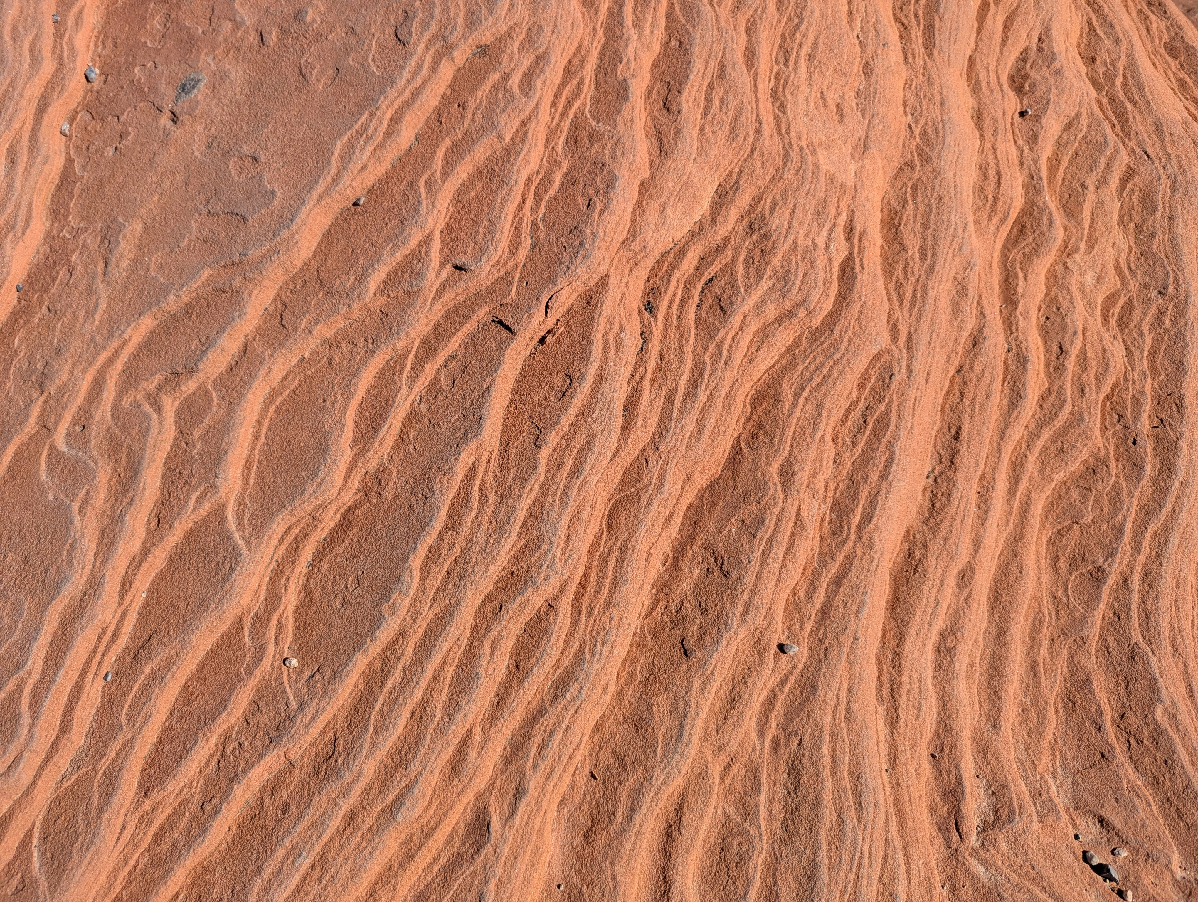 Photo by tamrootbeer