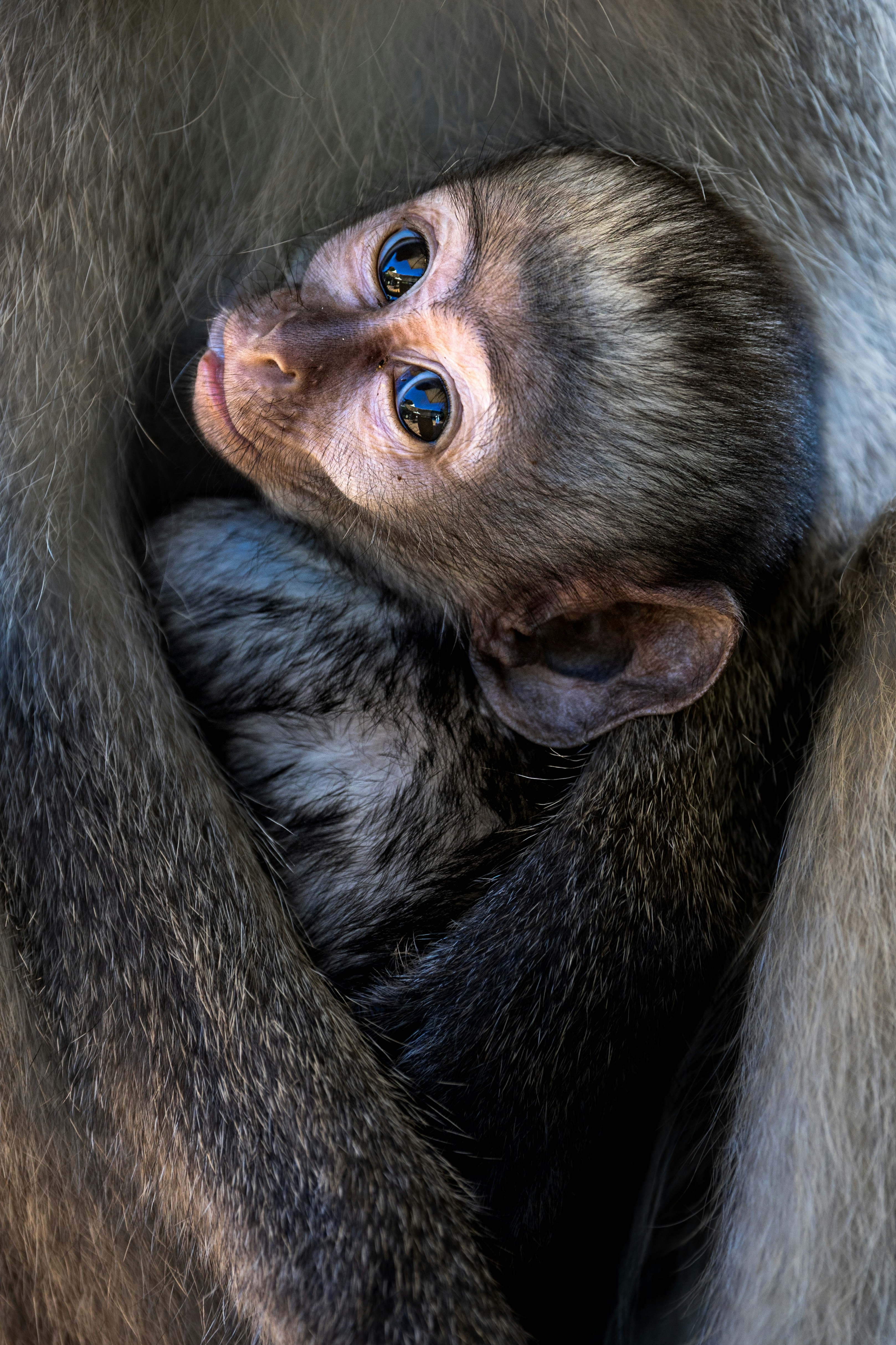 Photo by stanislav_stelmakhovich