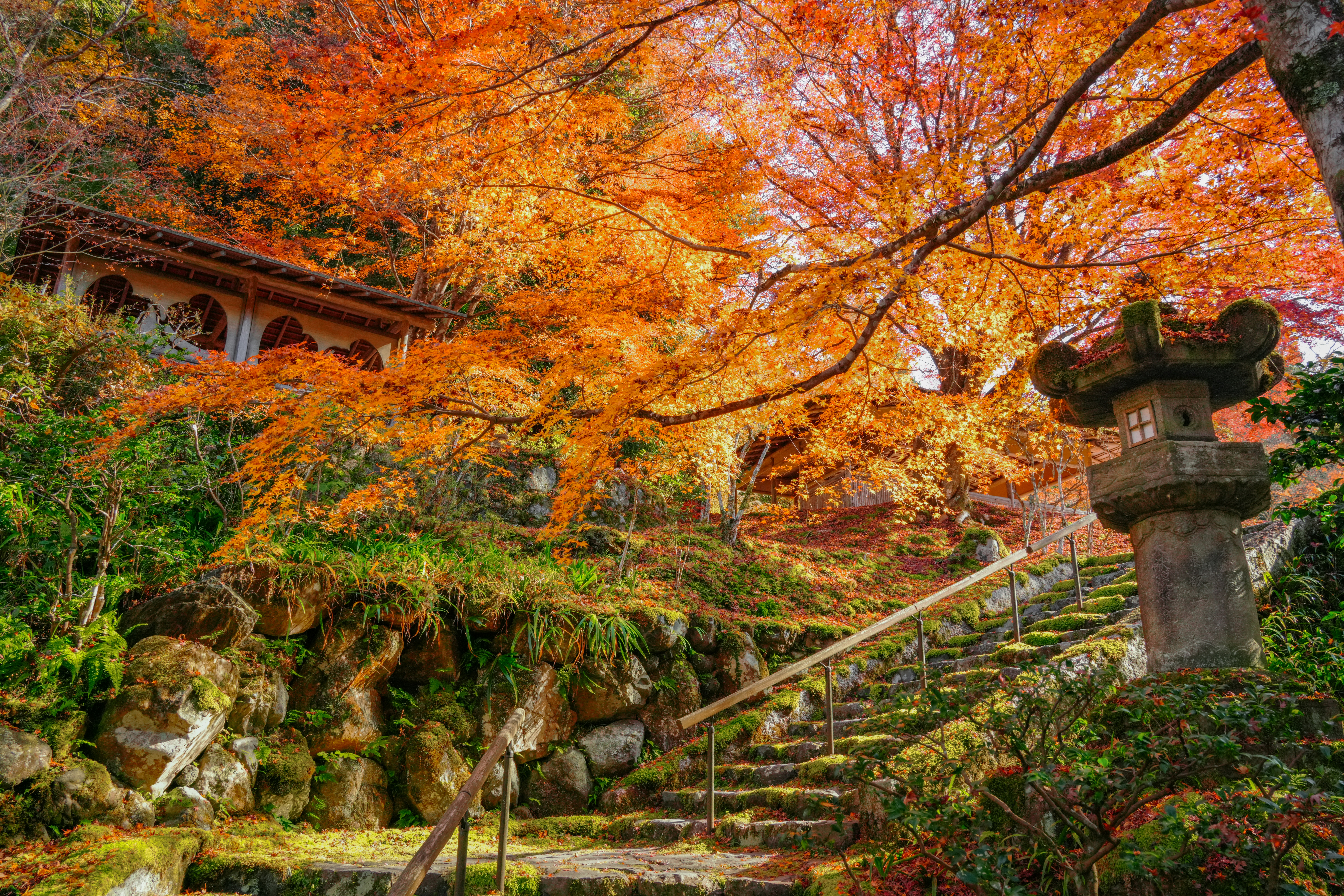 Photo by hattrick1996