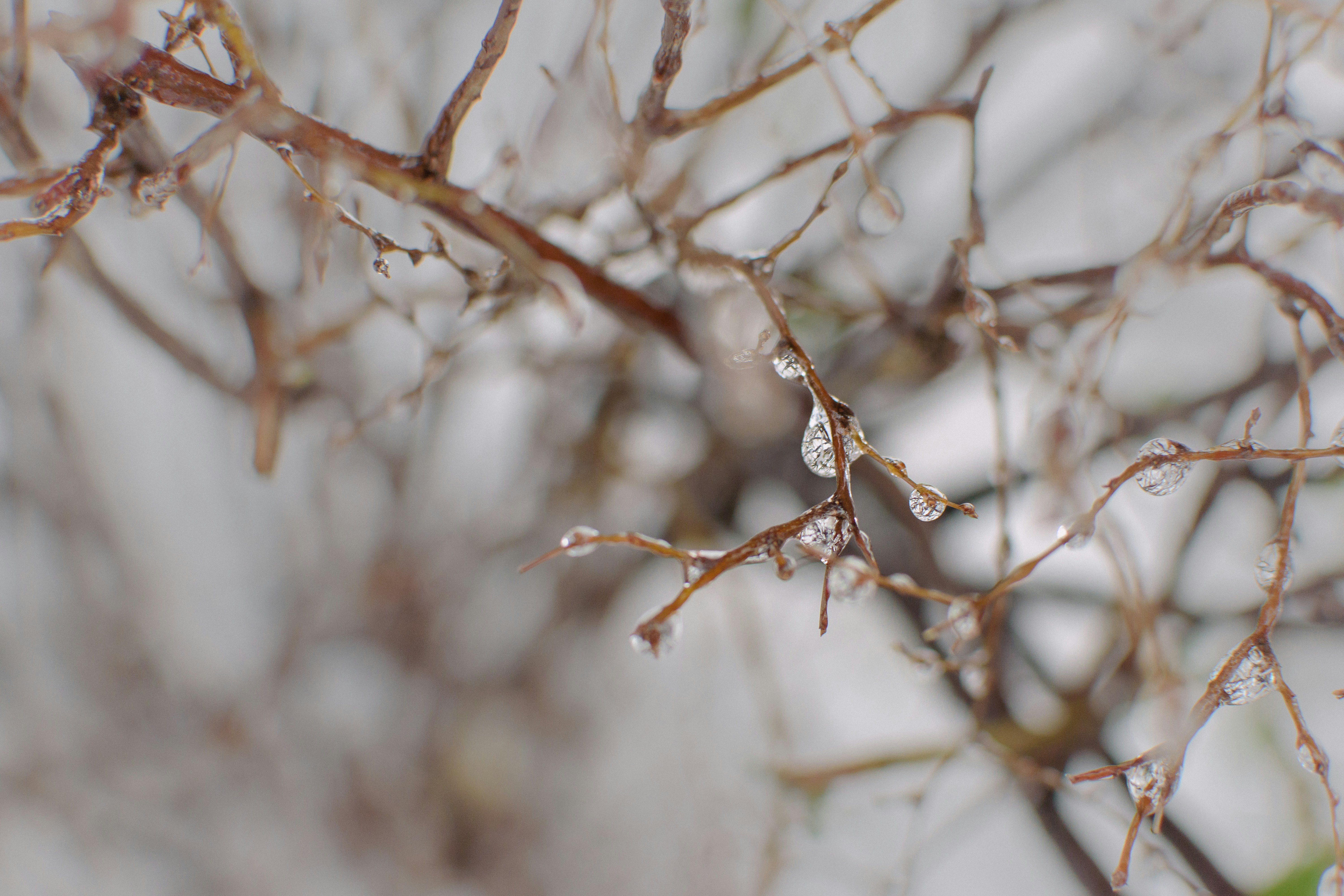 Photo by tanya_cantus