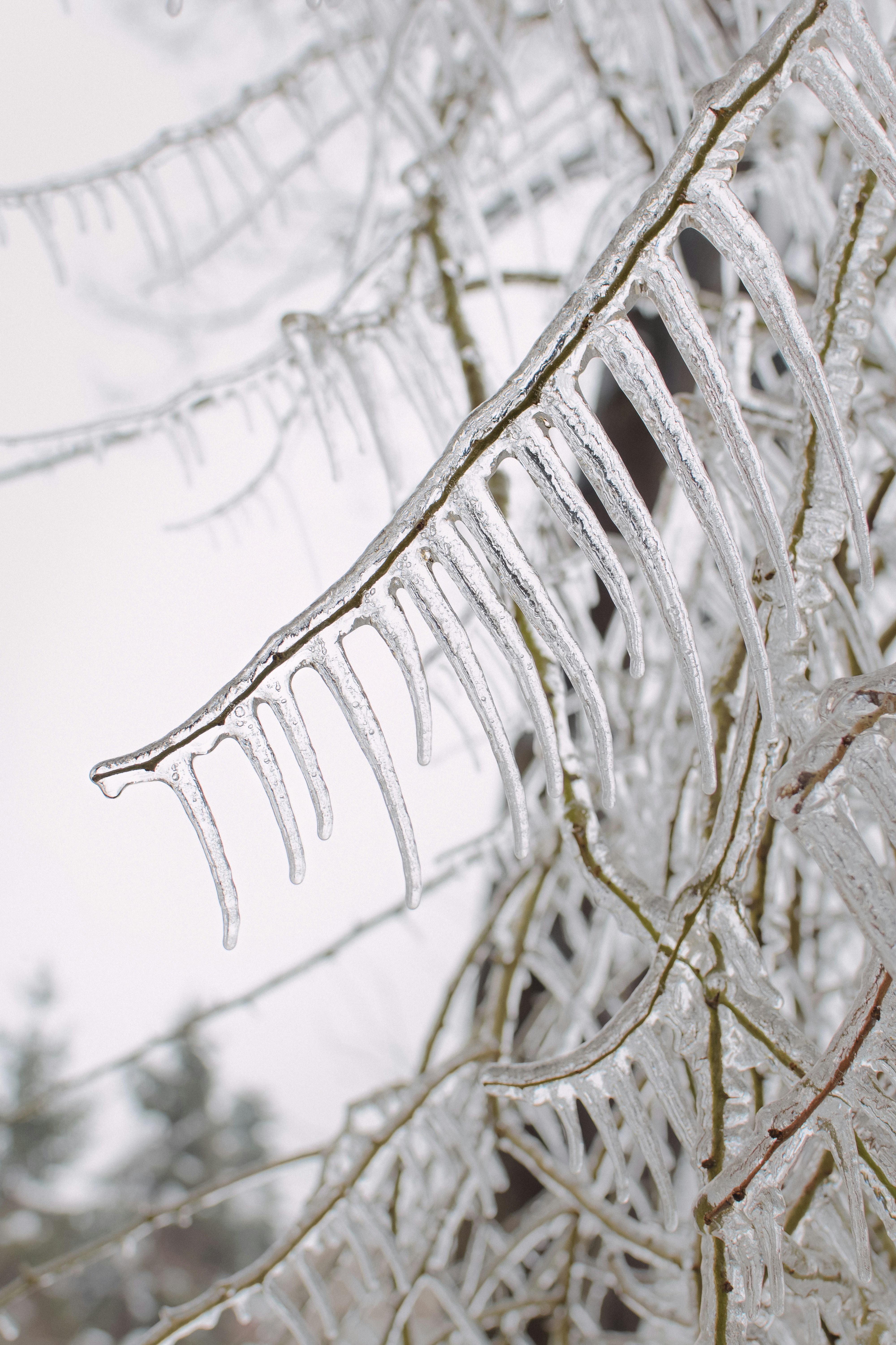 Photo by tanya_cantus