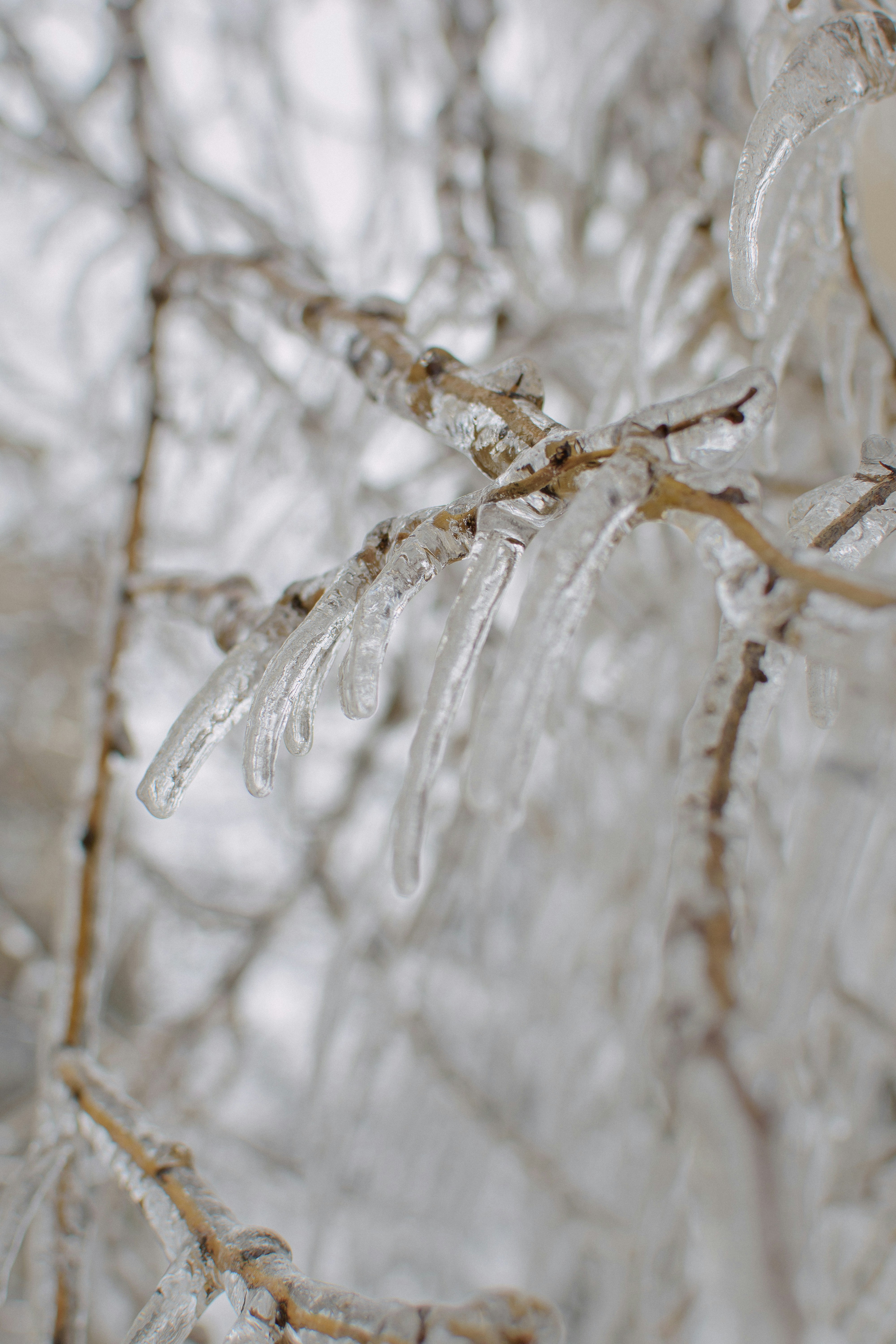 Photo by tanya_cantus