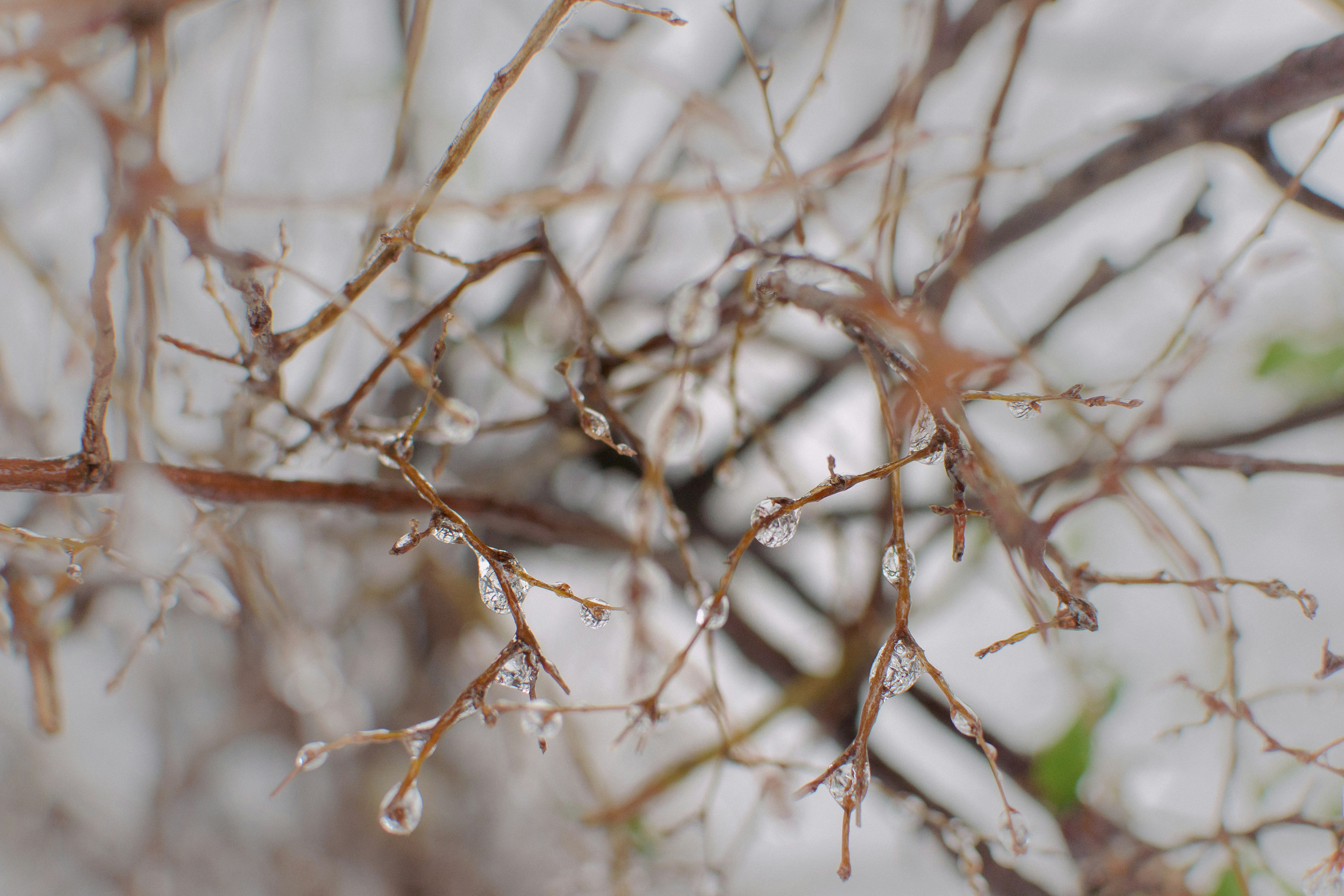 Photo by tanya_cantus