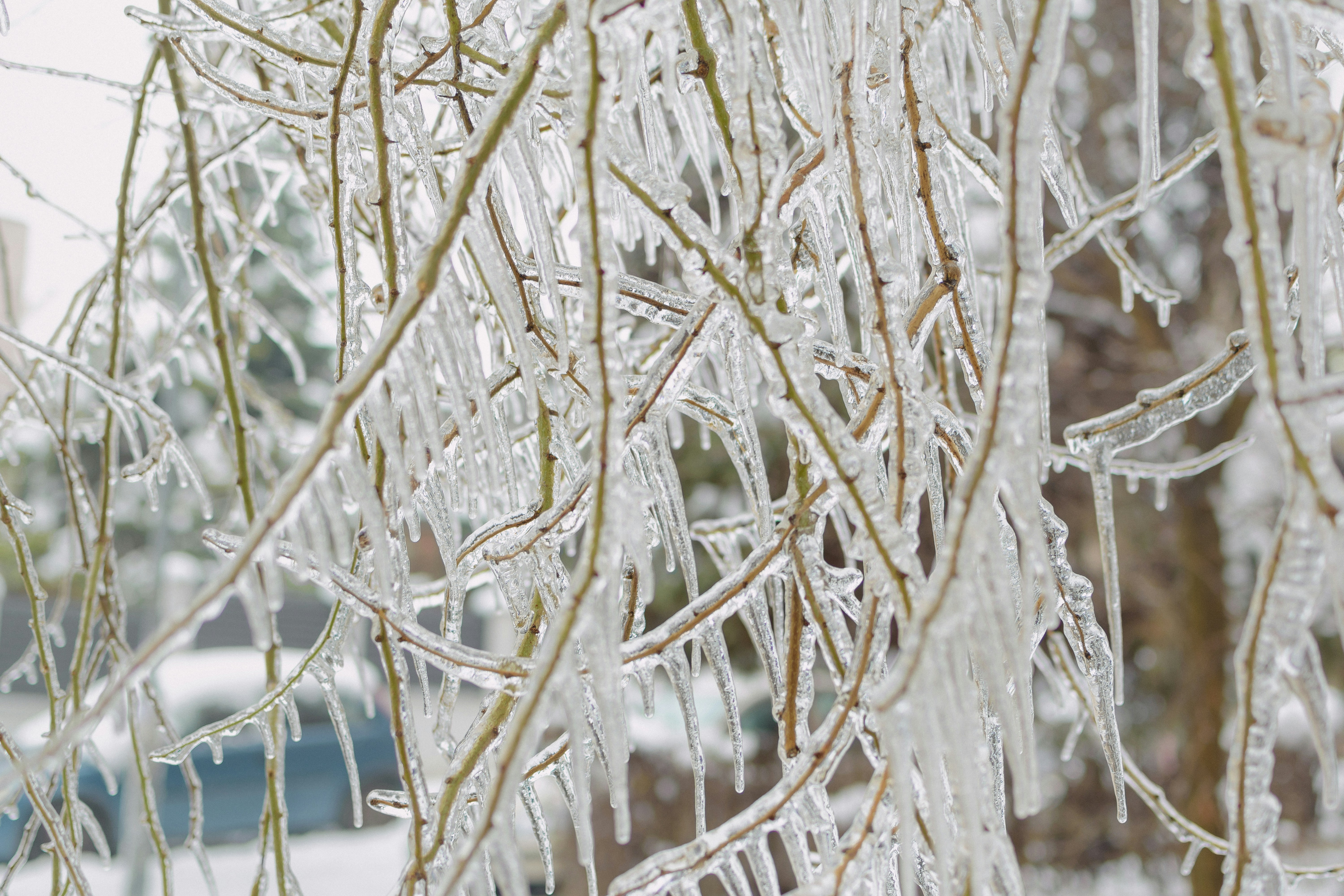 Photo by tanya_cantus