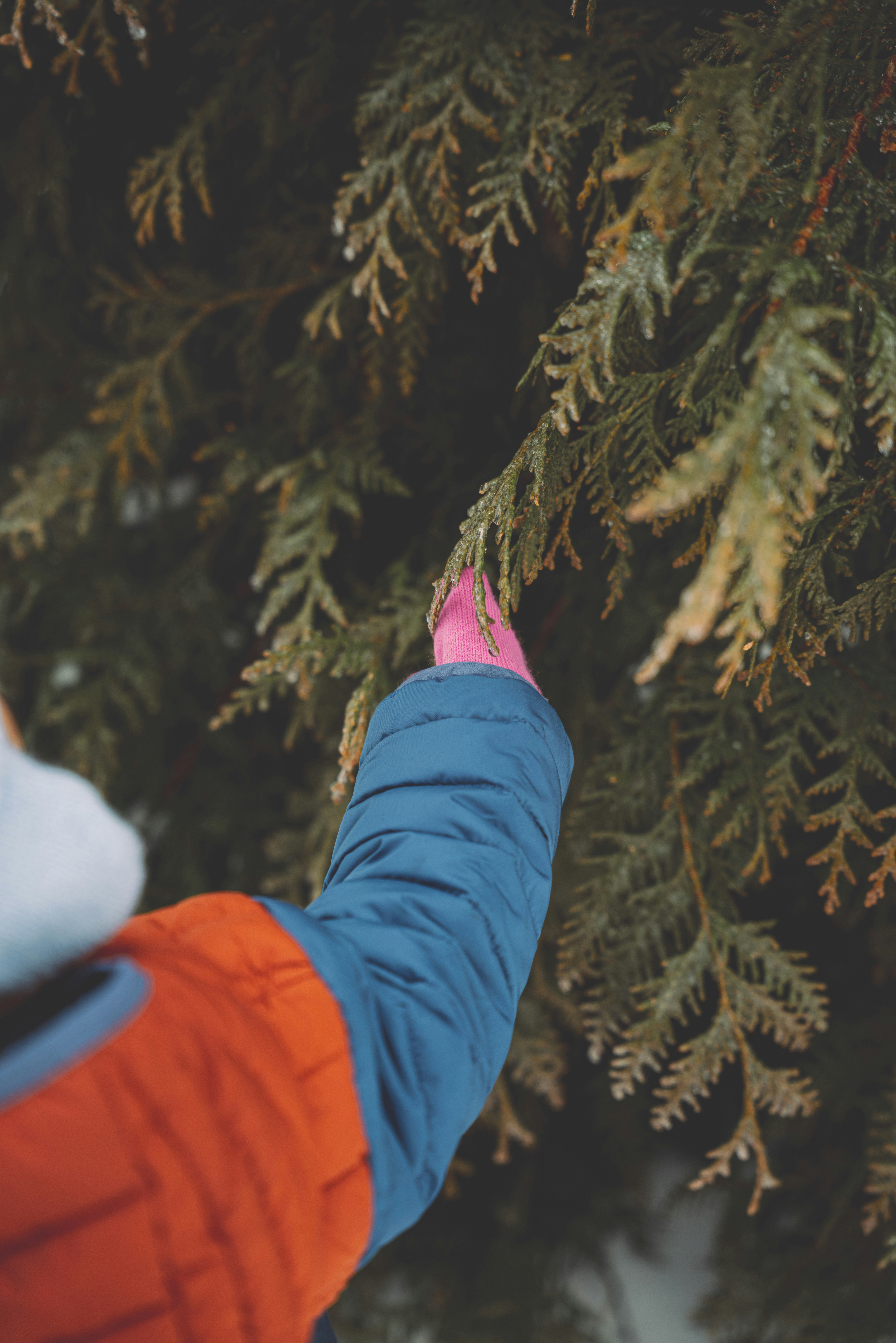 Photo by keepitchassephotography