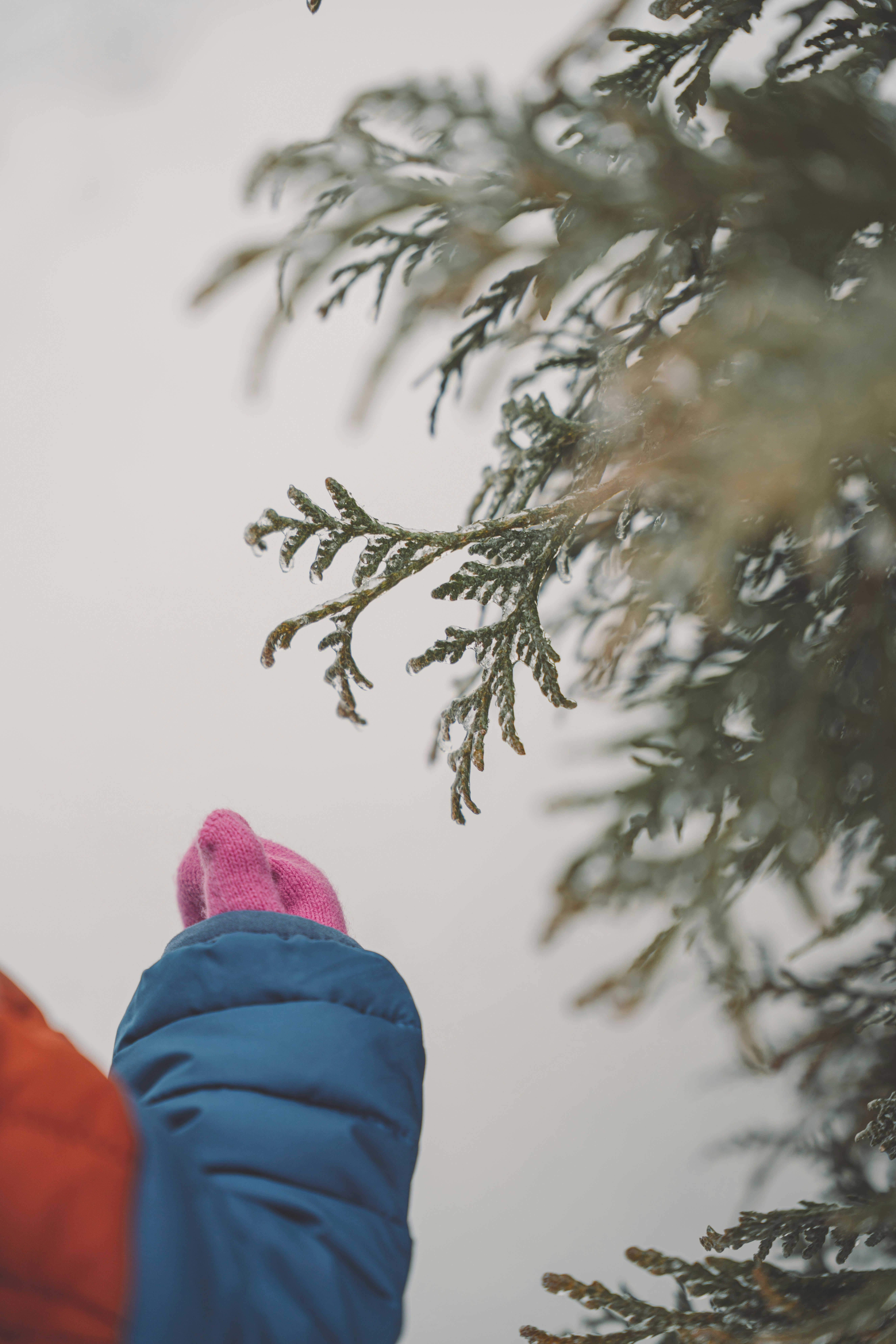 Photo by keepitchassephotography