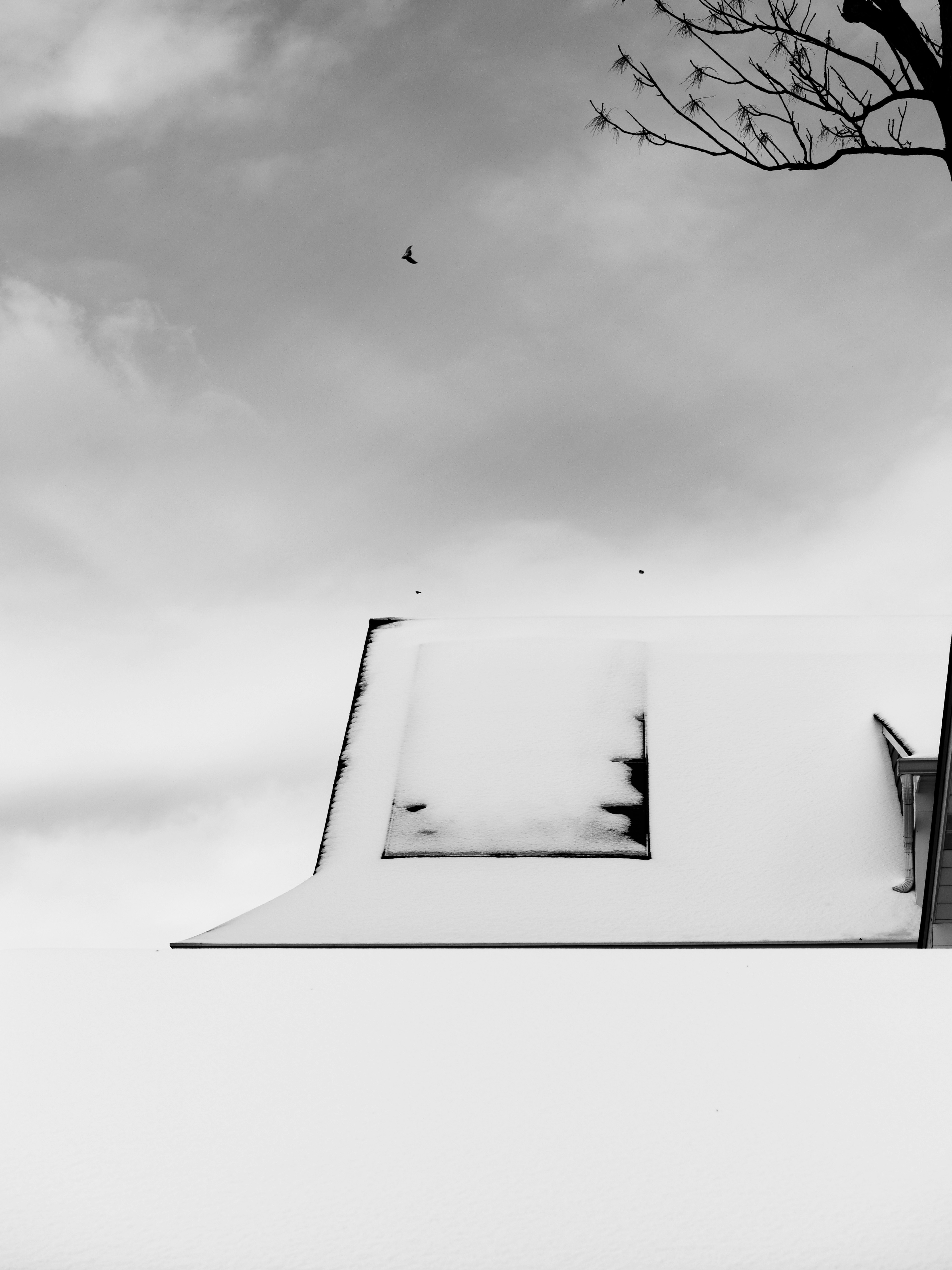 Photo by sschusterphotoart