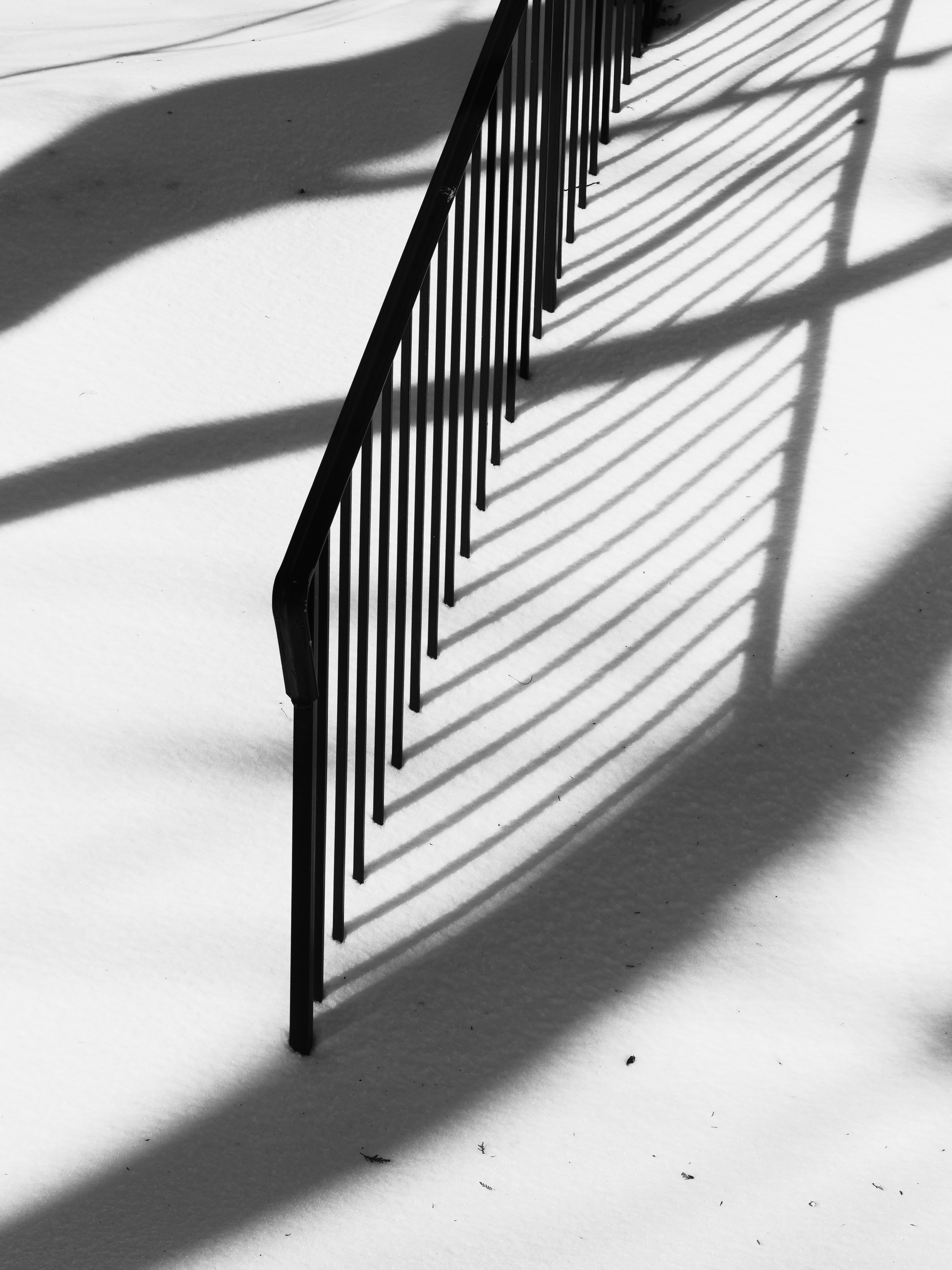 Photo by sschusterphotoart