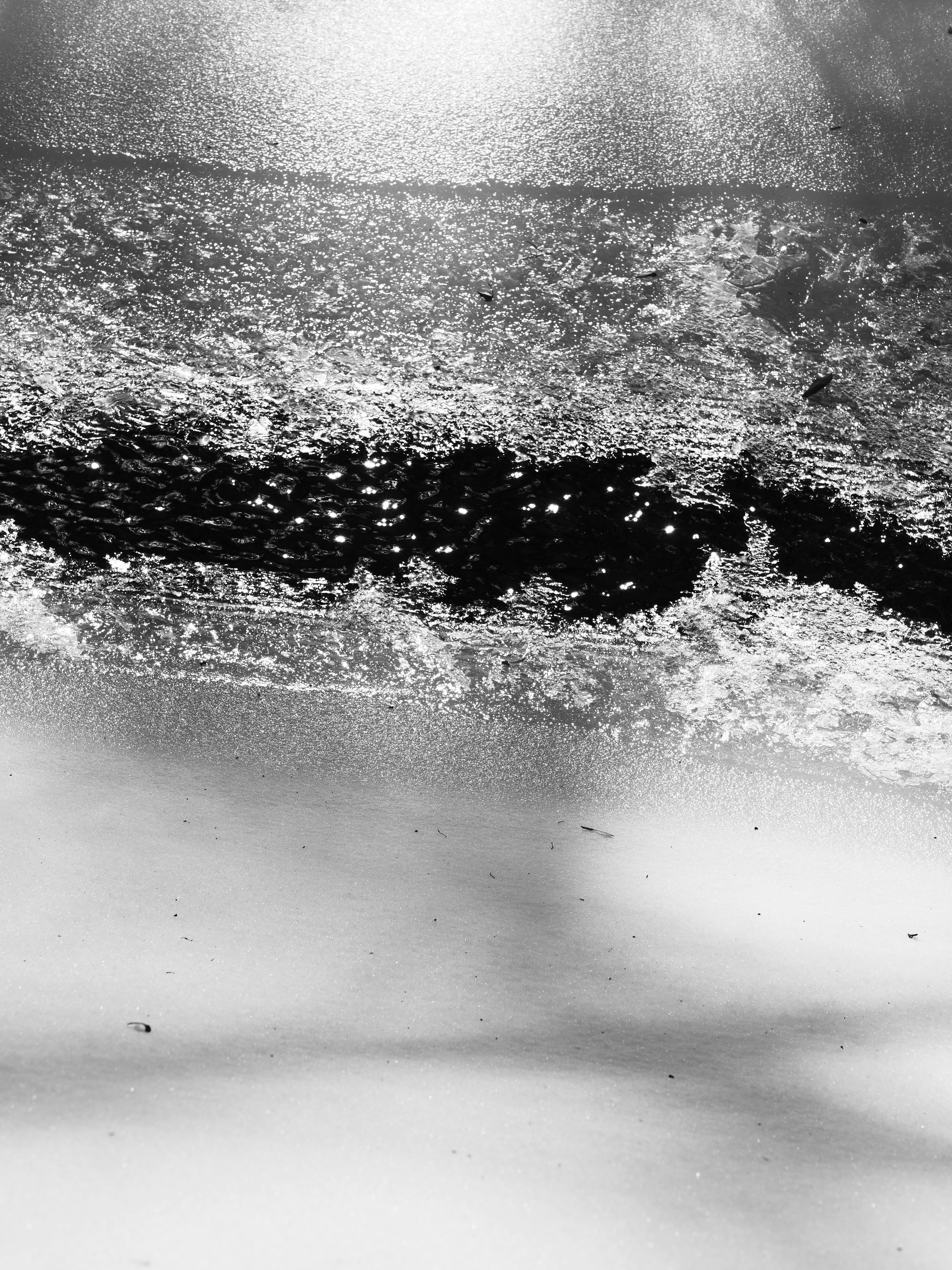 Photo by sschusterphotoart