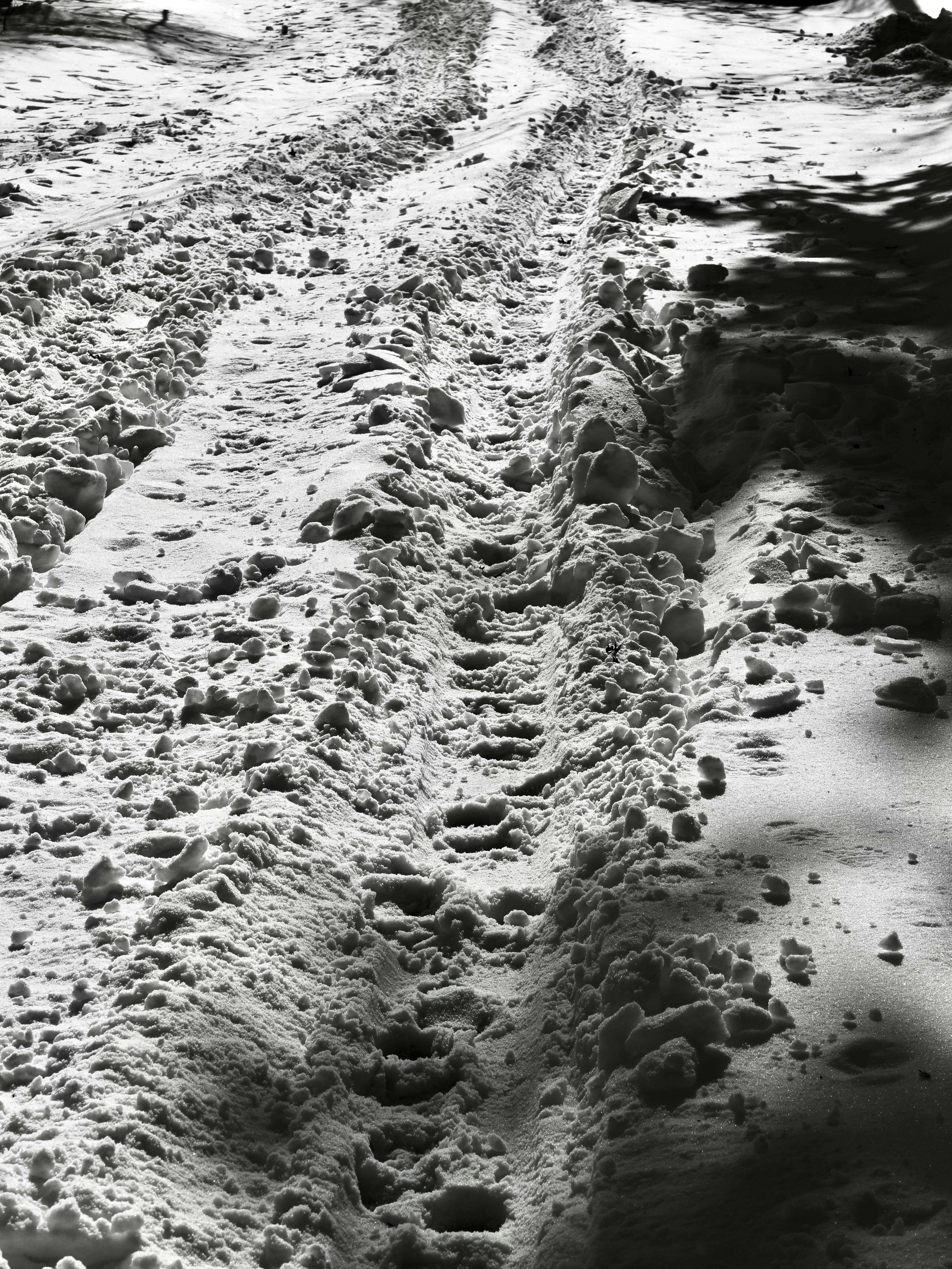 Photo by sschusterphotoart