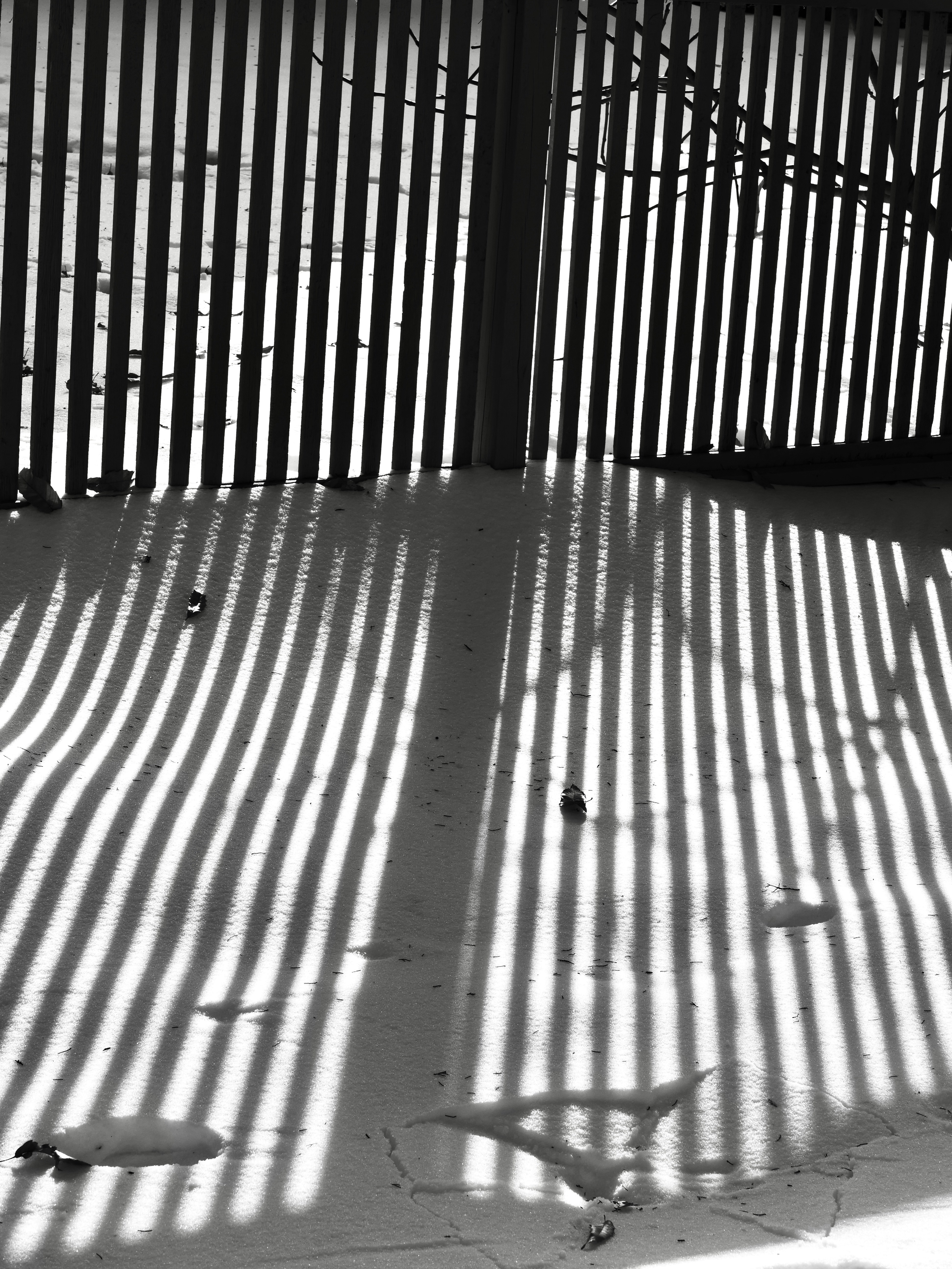 Photo by sschusterphotoart