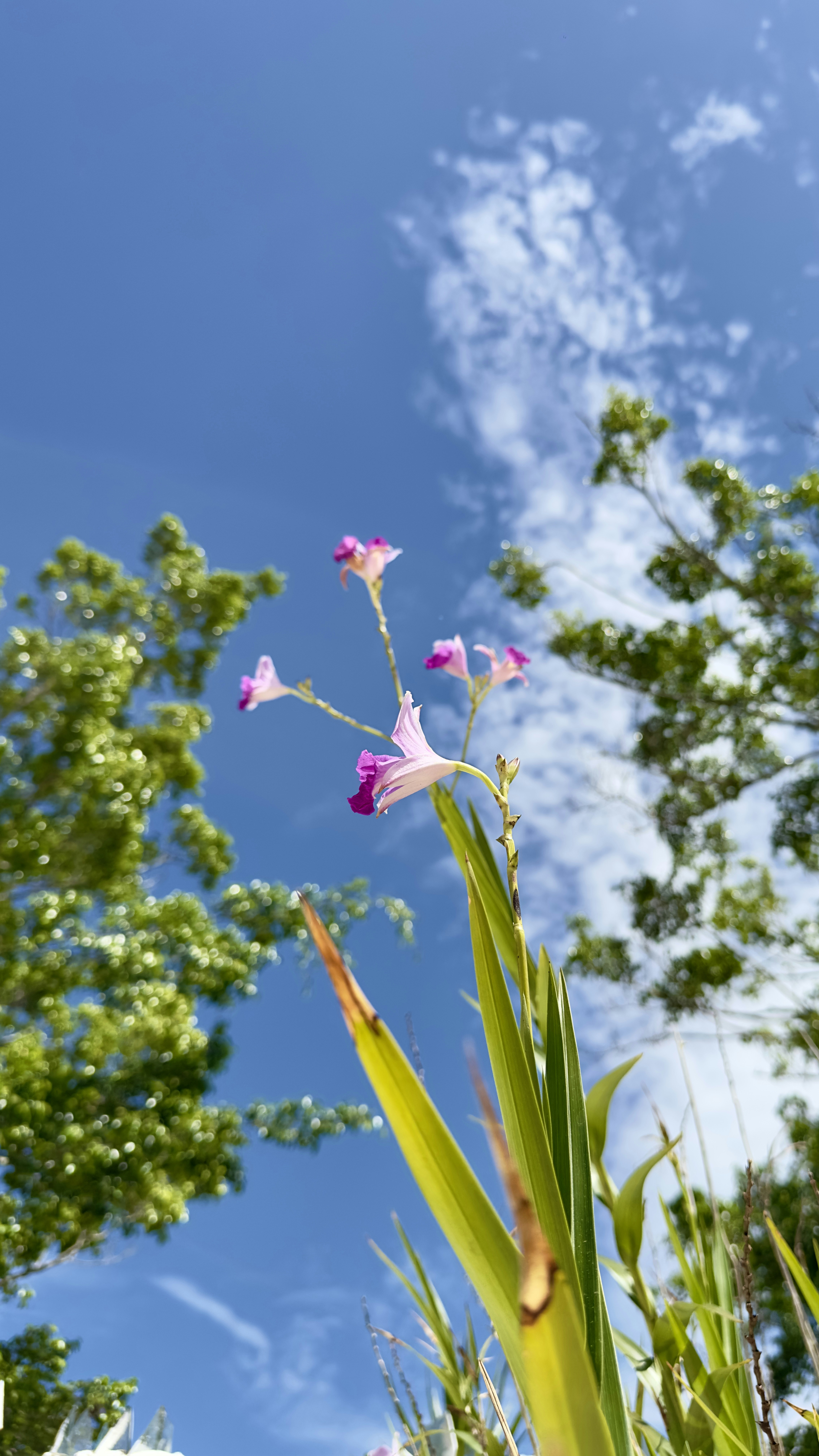 Photo by silvana_carlos