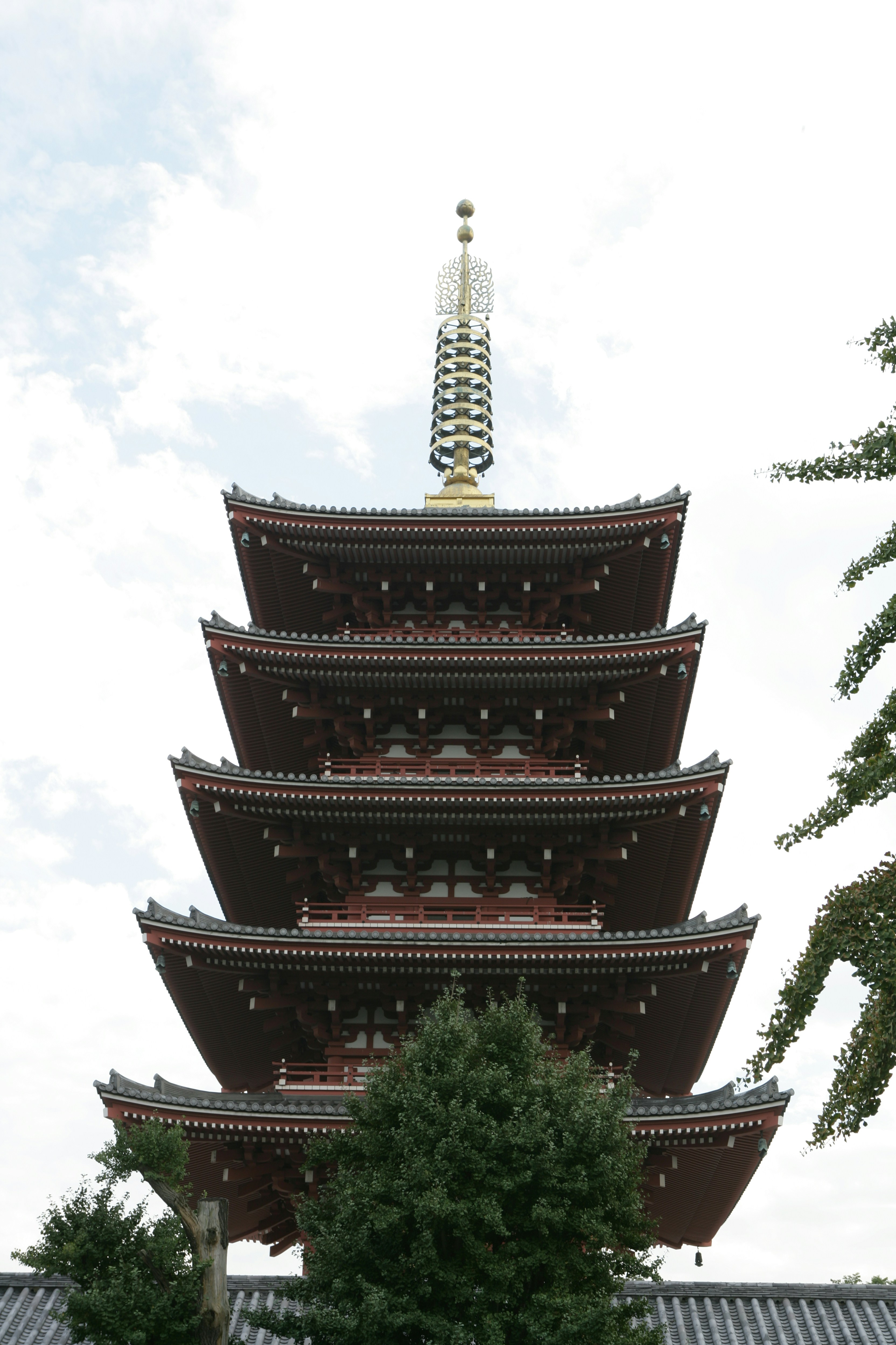 Photo by project9513