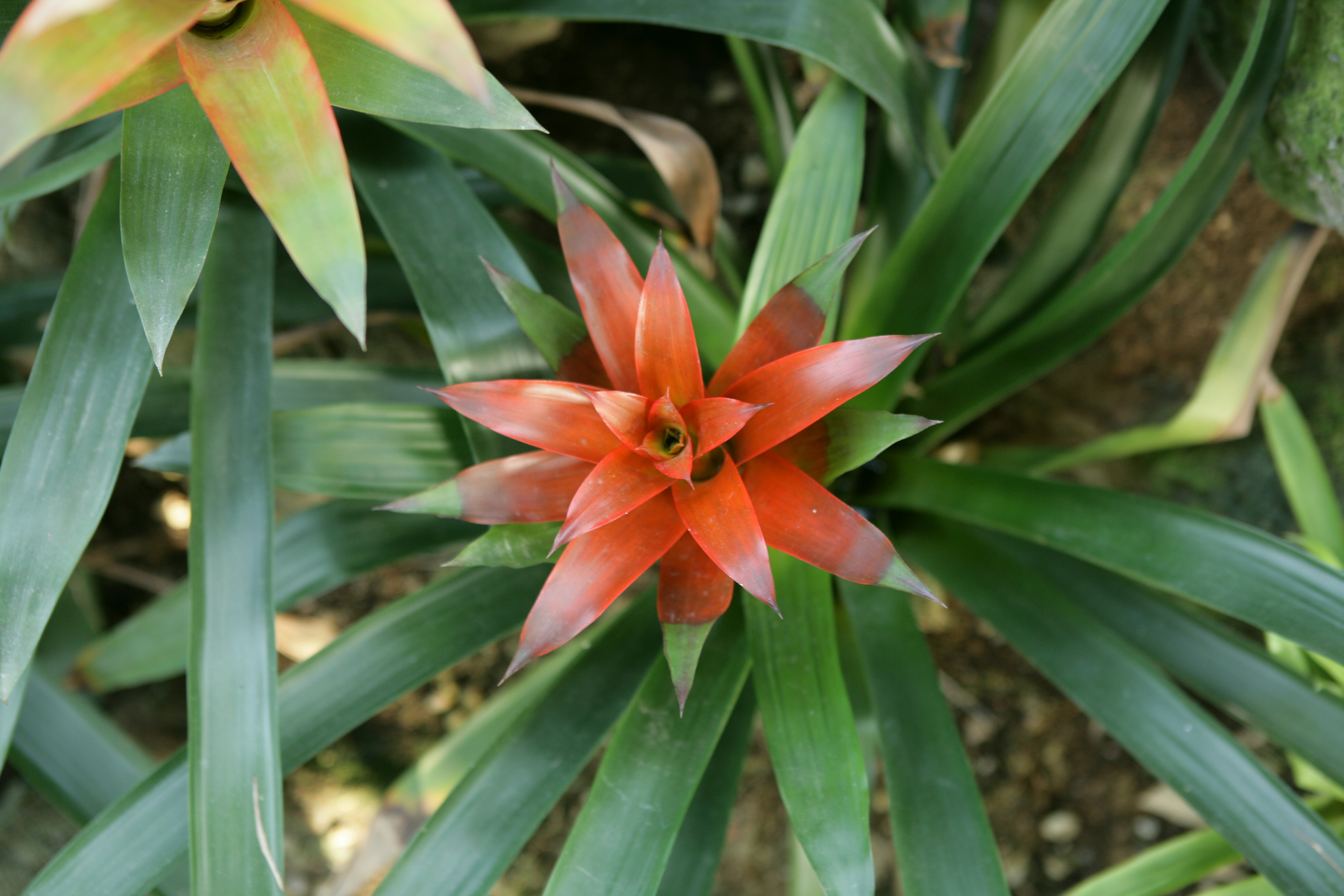 Photo by project9513