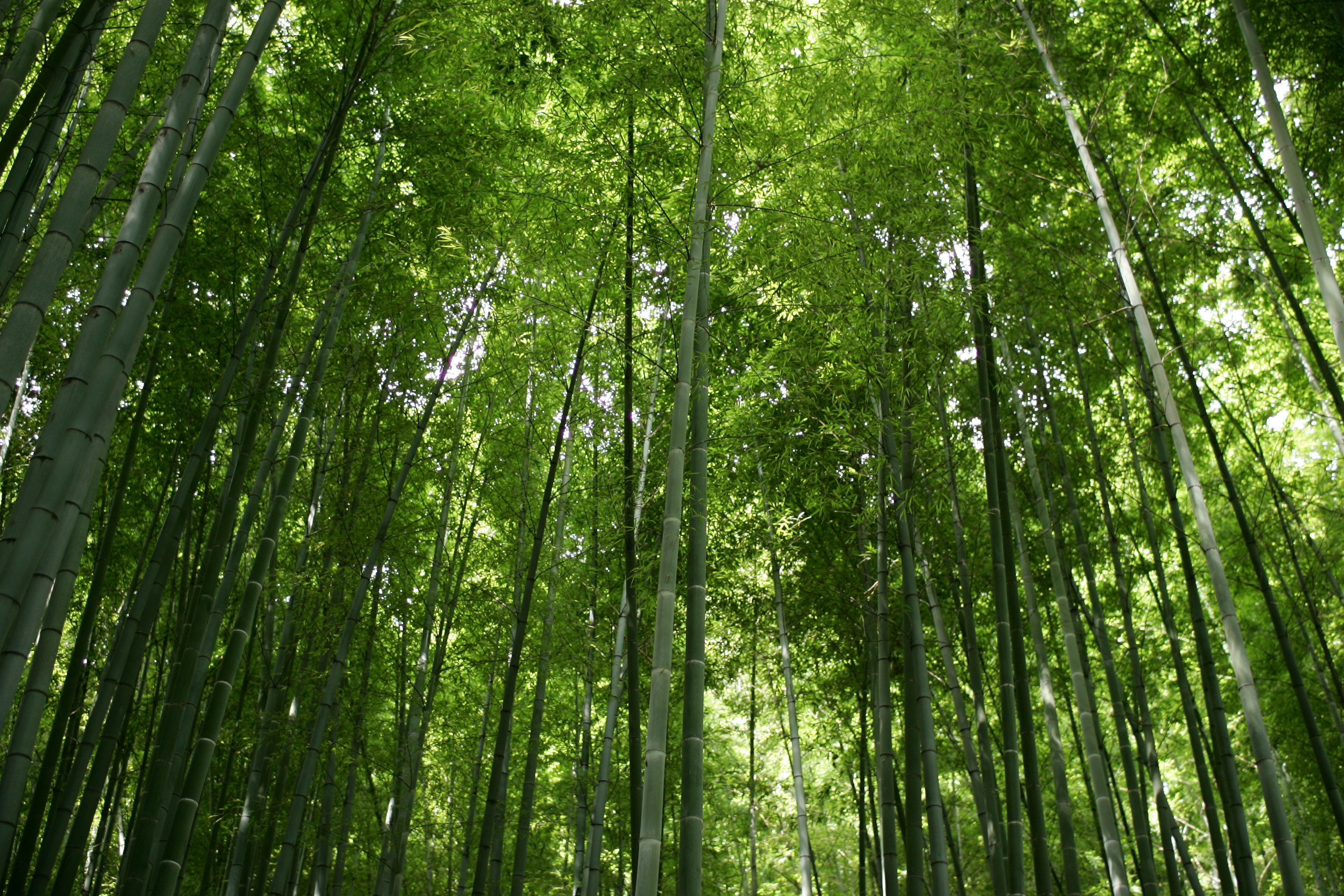 Photo by project9513