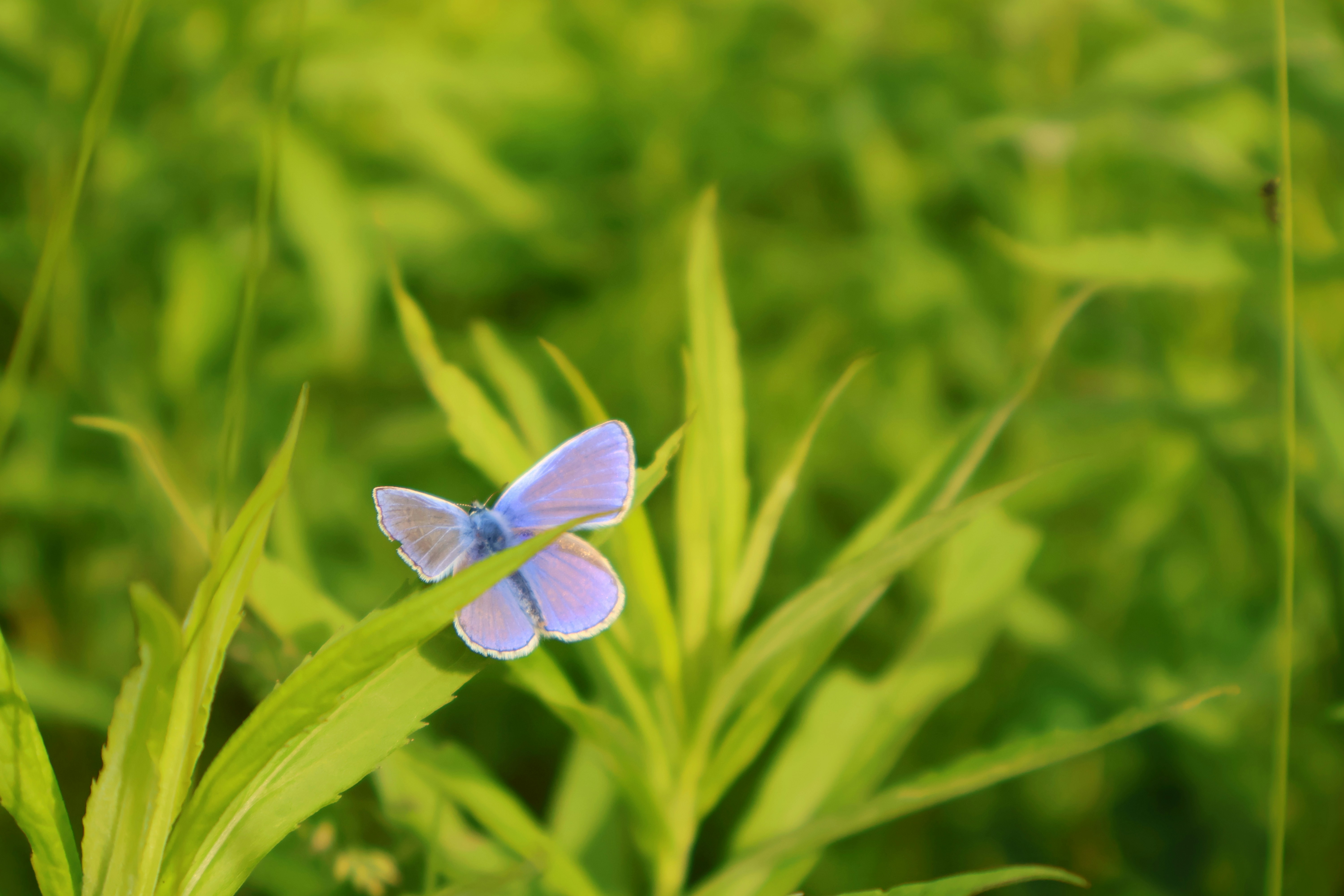 Photo by ninjagos_pants