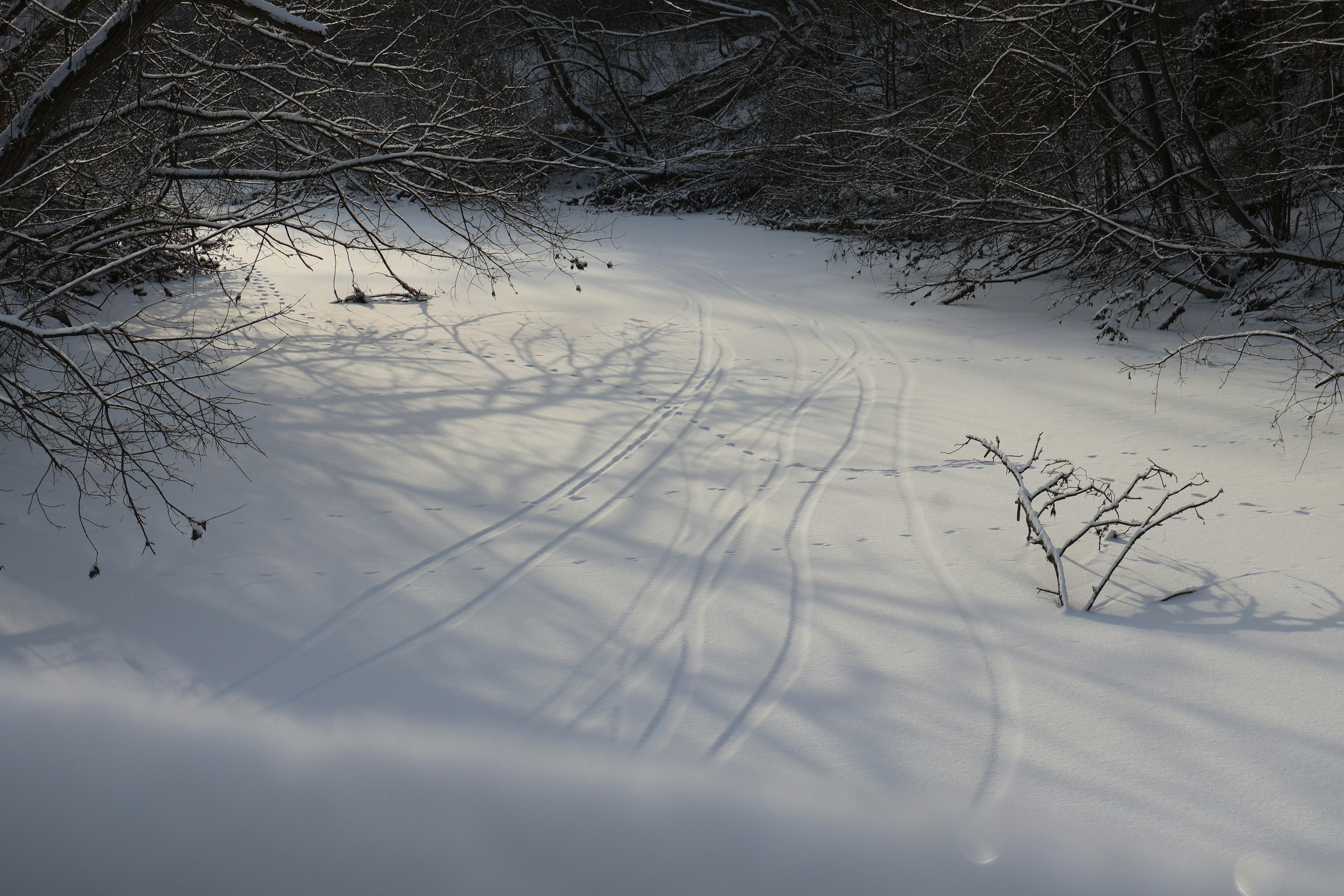 Photo by ninjagos_pants