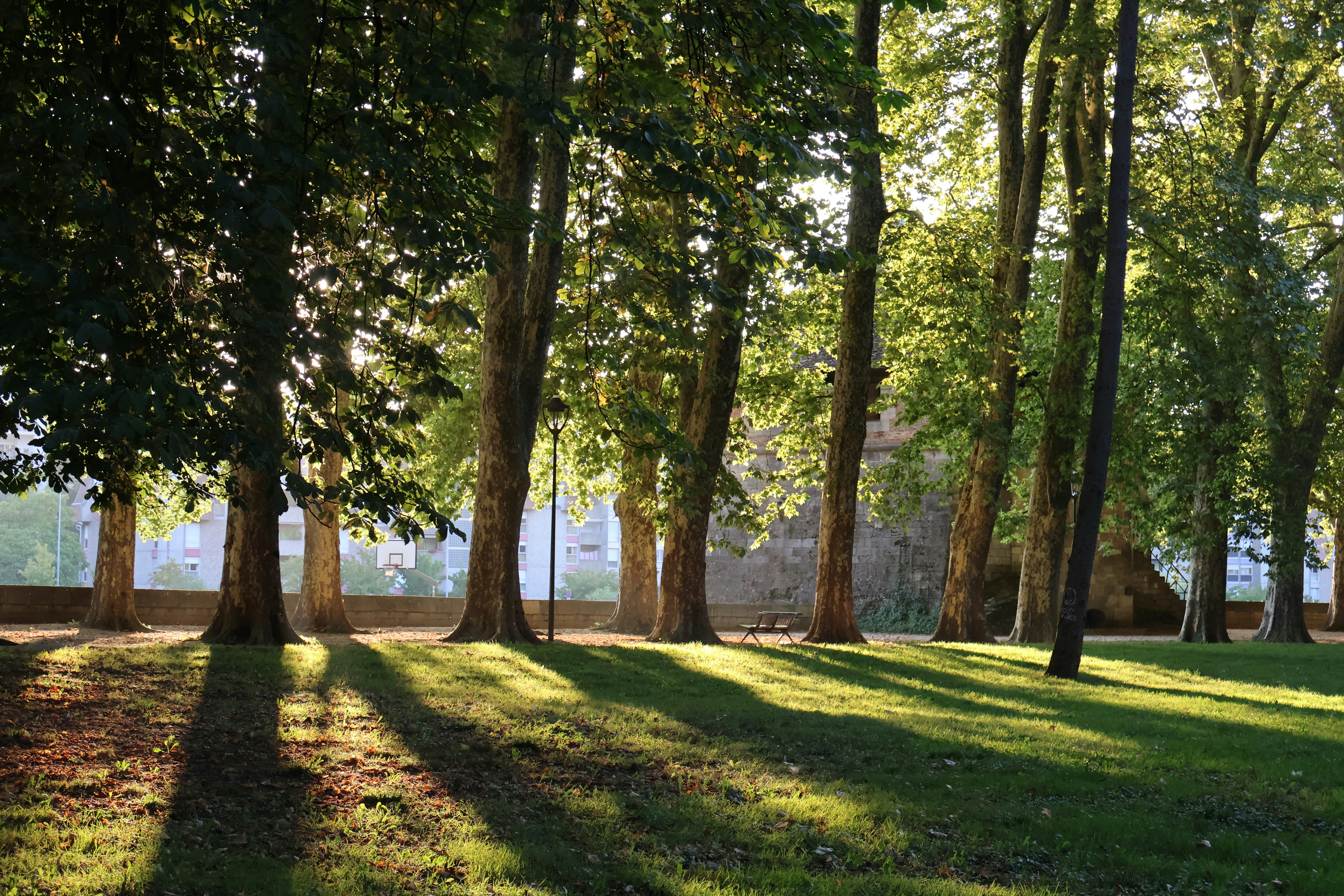 Photo by ninjagos_pants