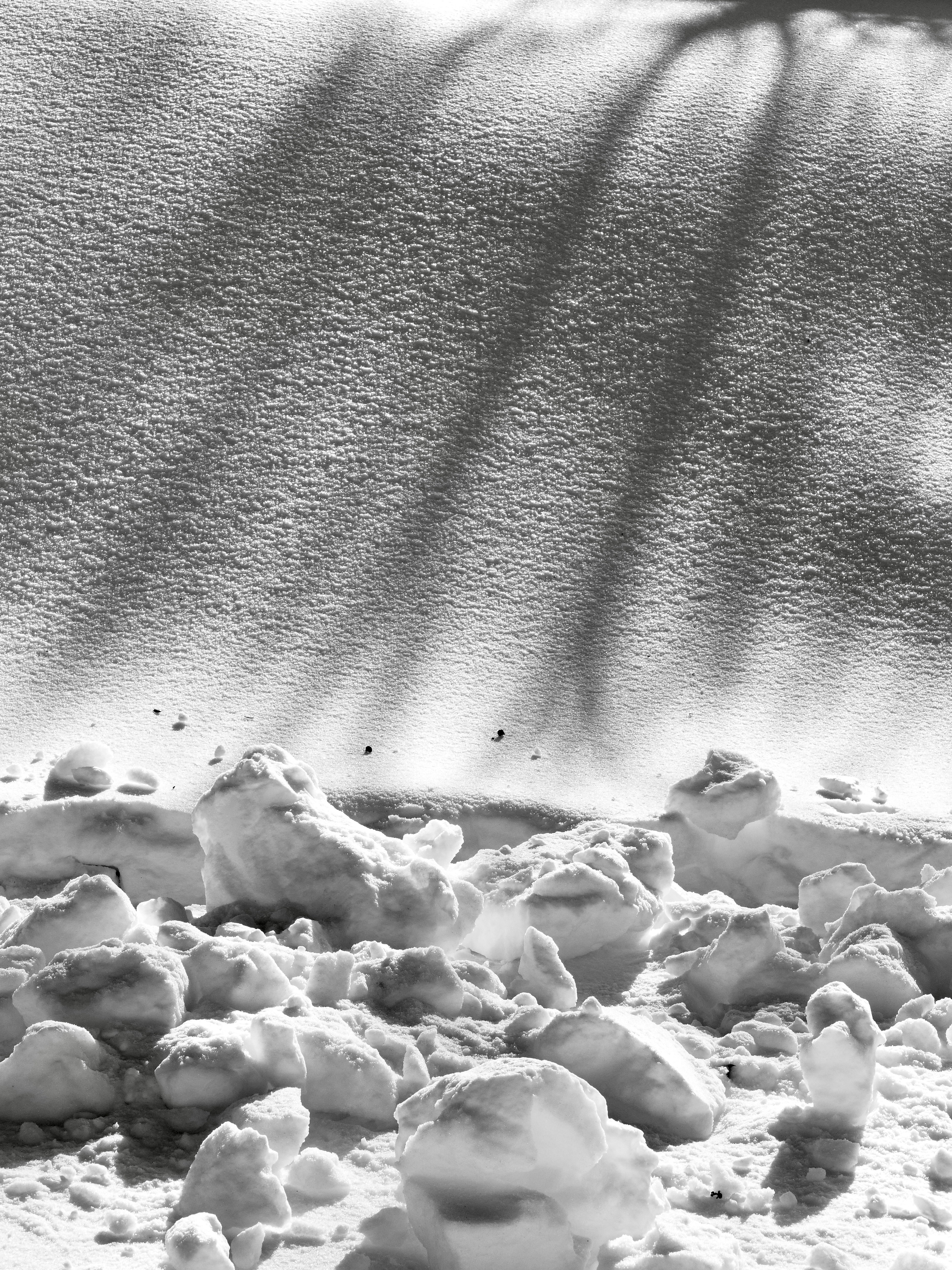 Photo by sschusterphotoart