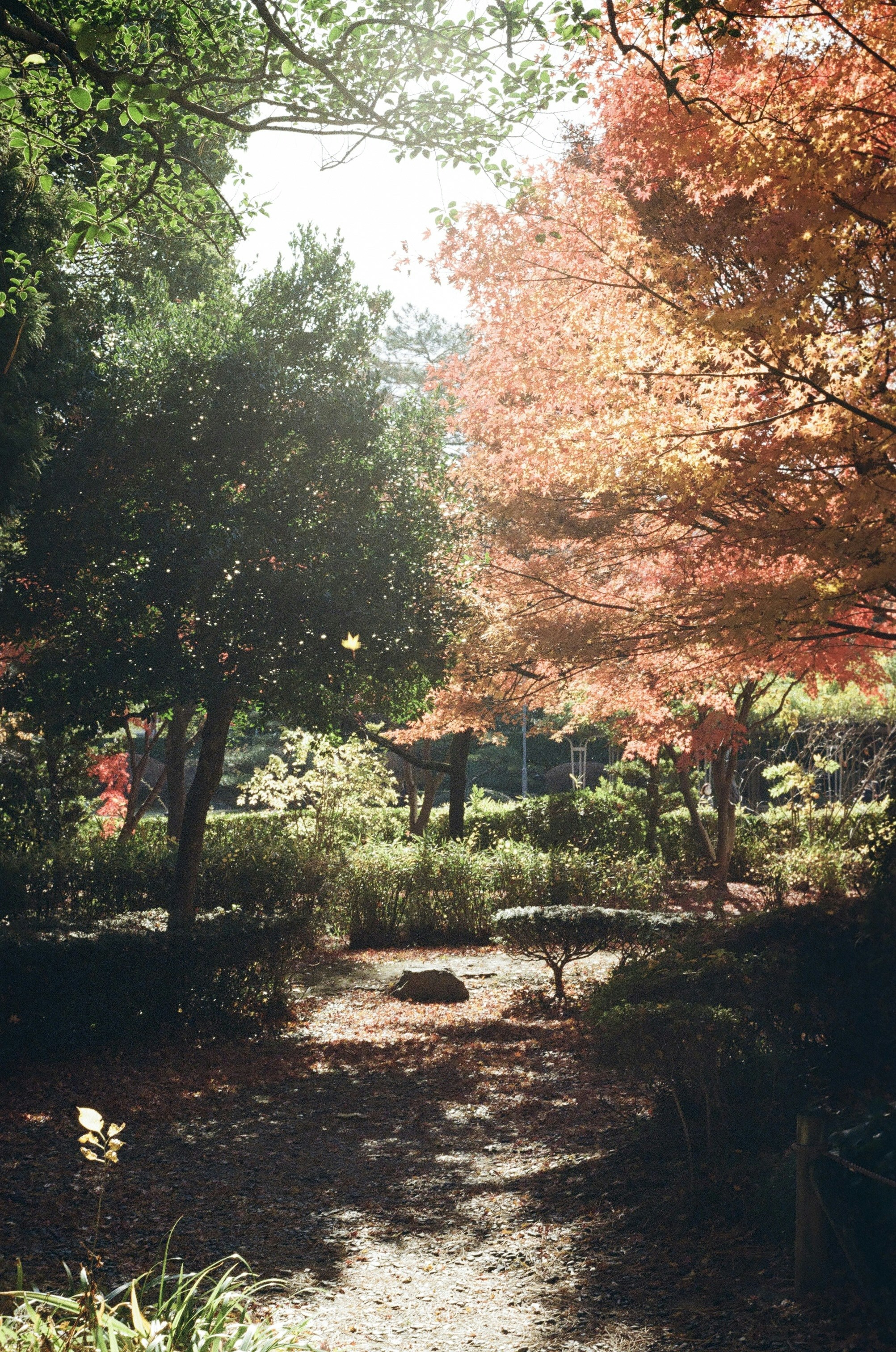 Photo by xinchan