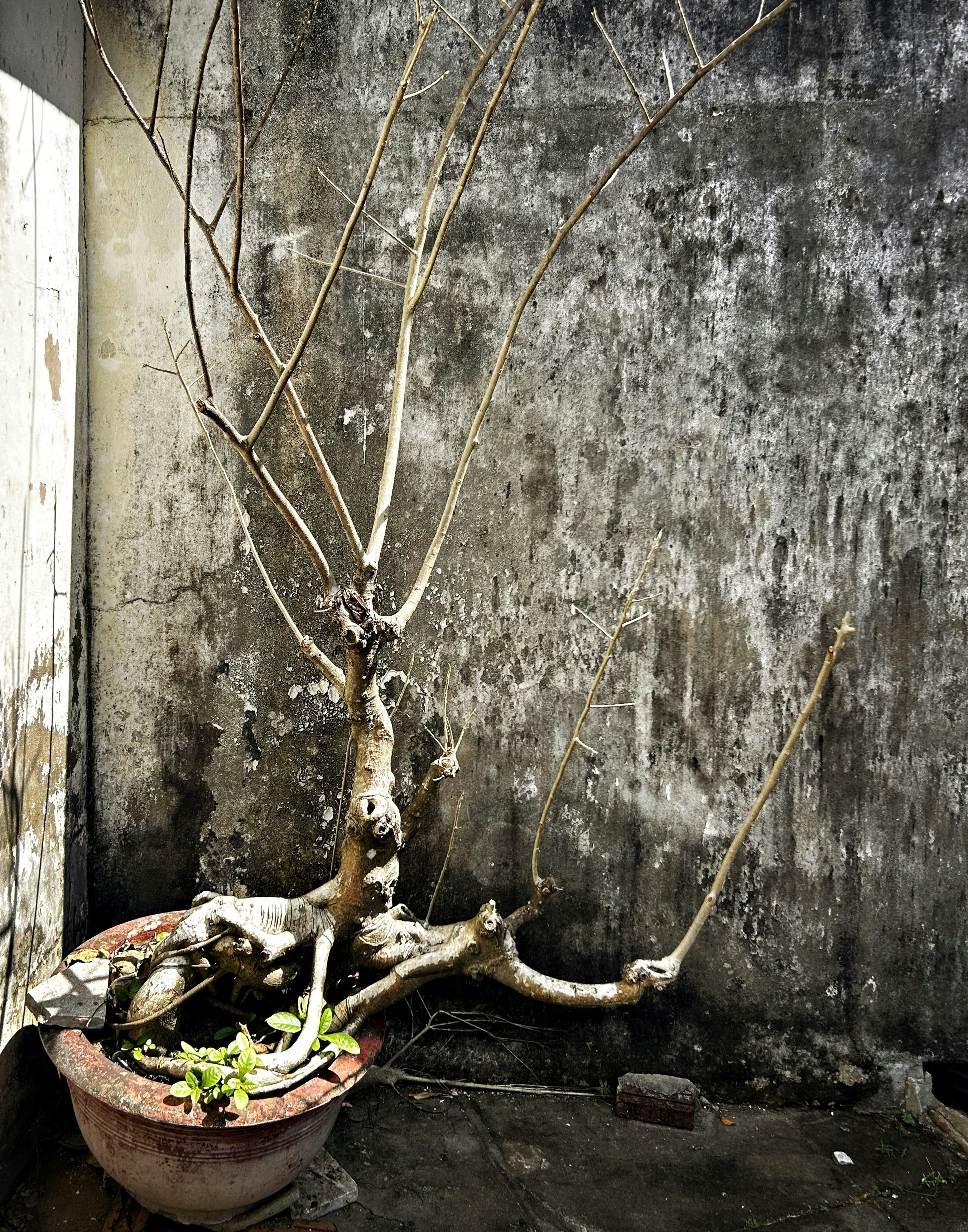 Photo by williamwallace