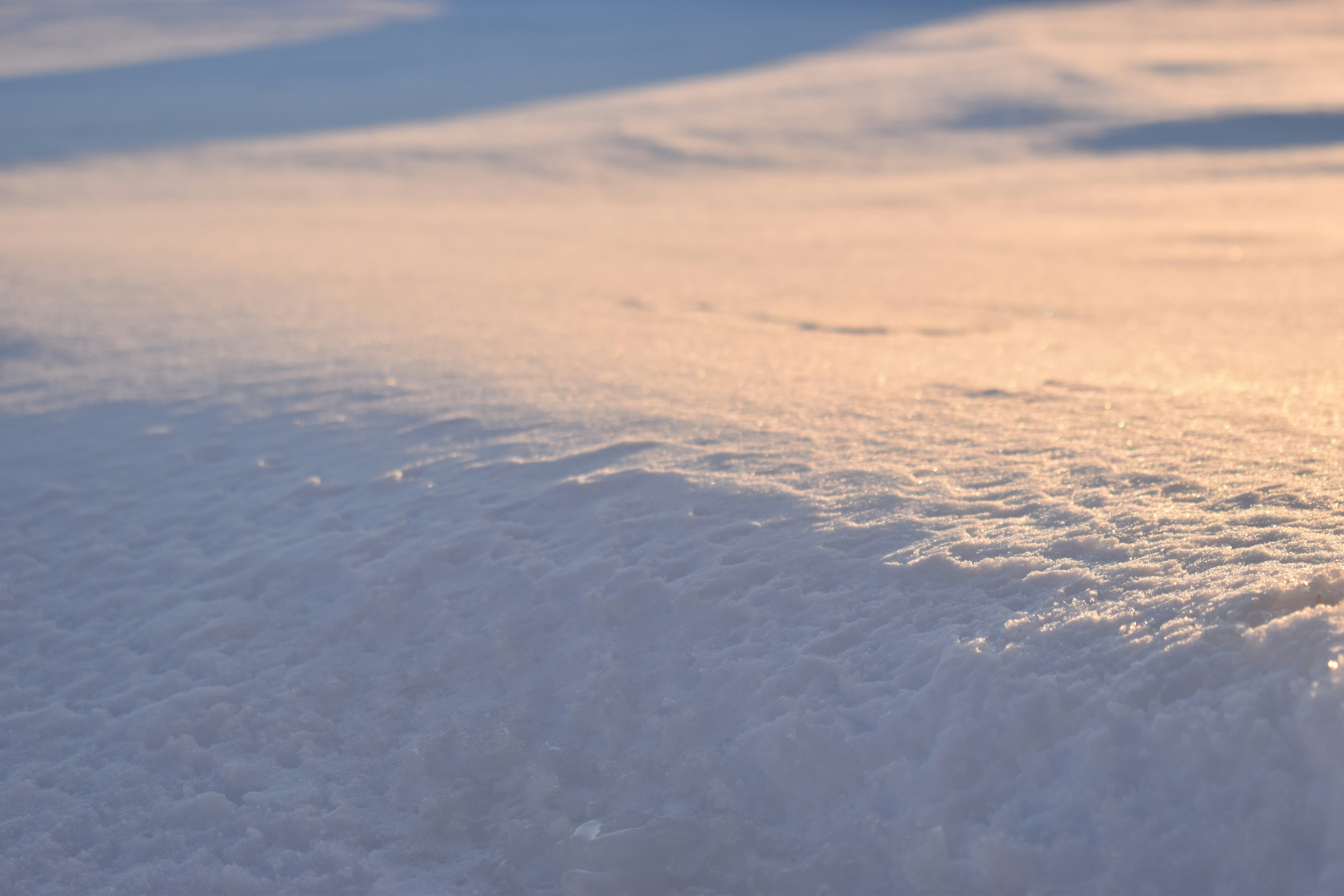 Photo by ssdesignandphotography_