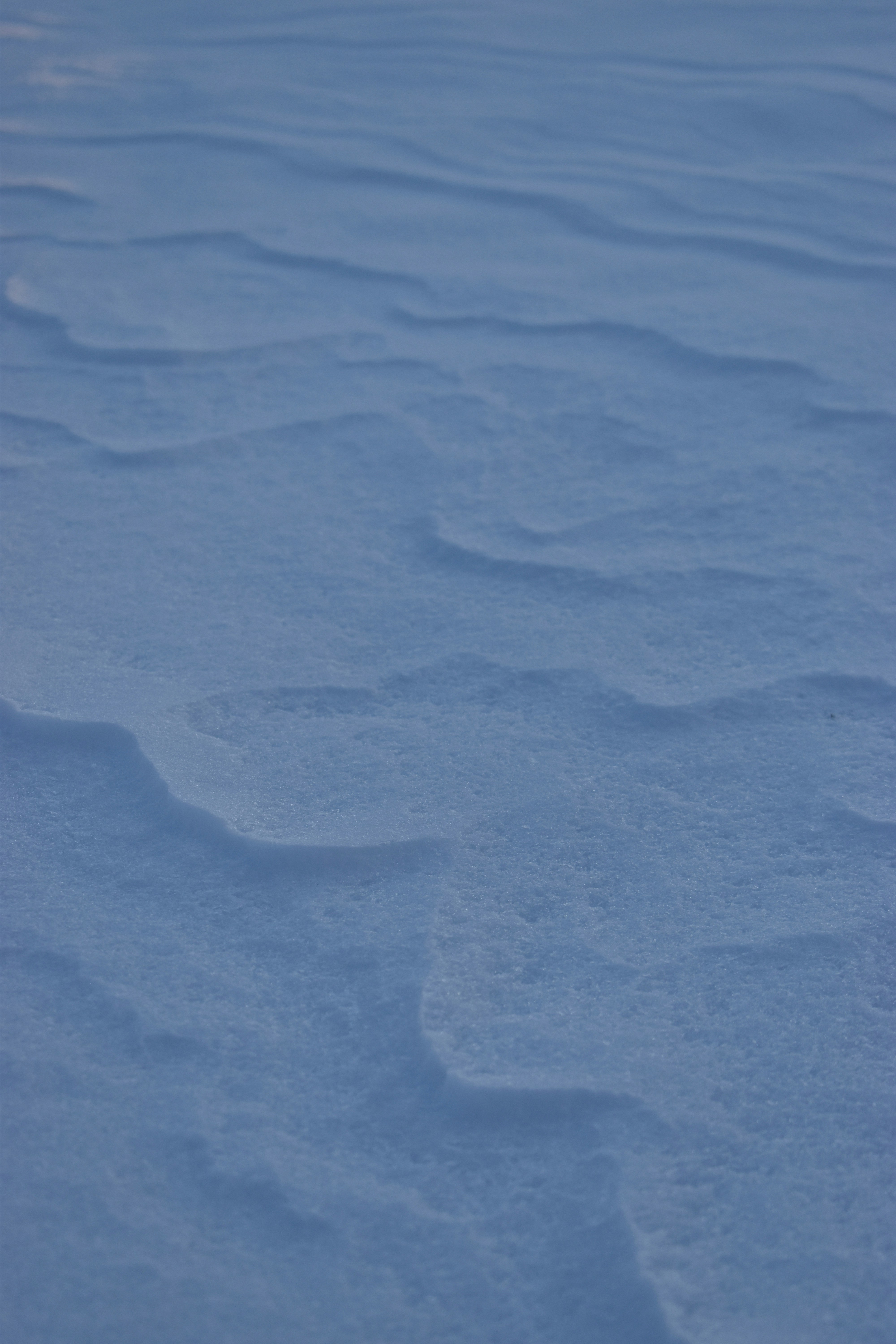 Photo by ssdesignandphotography_