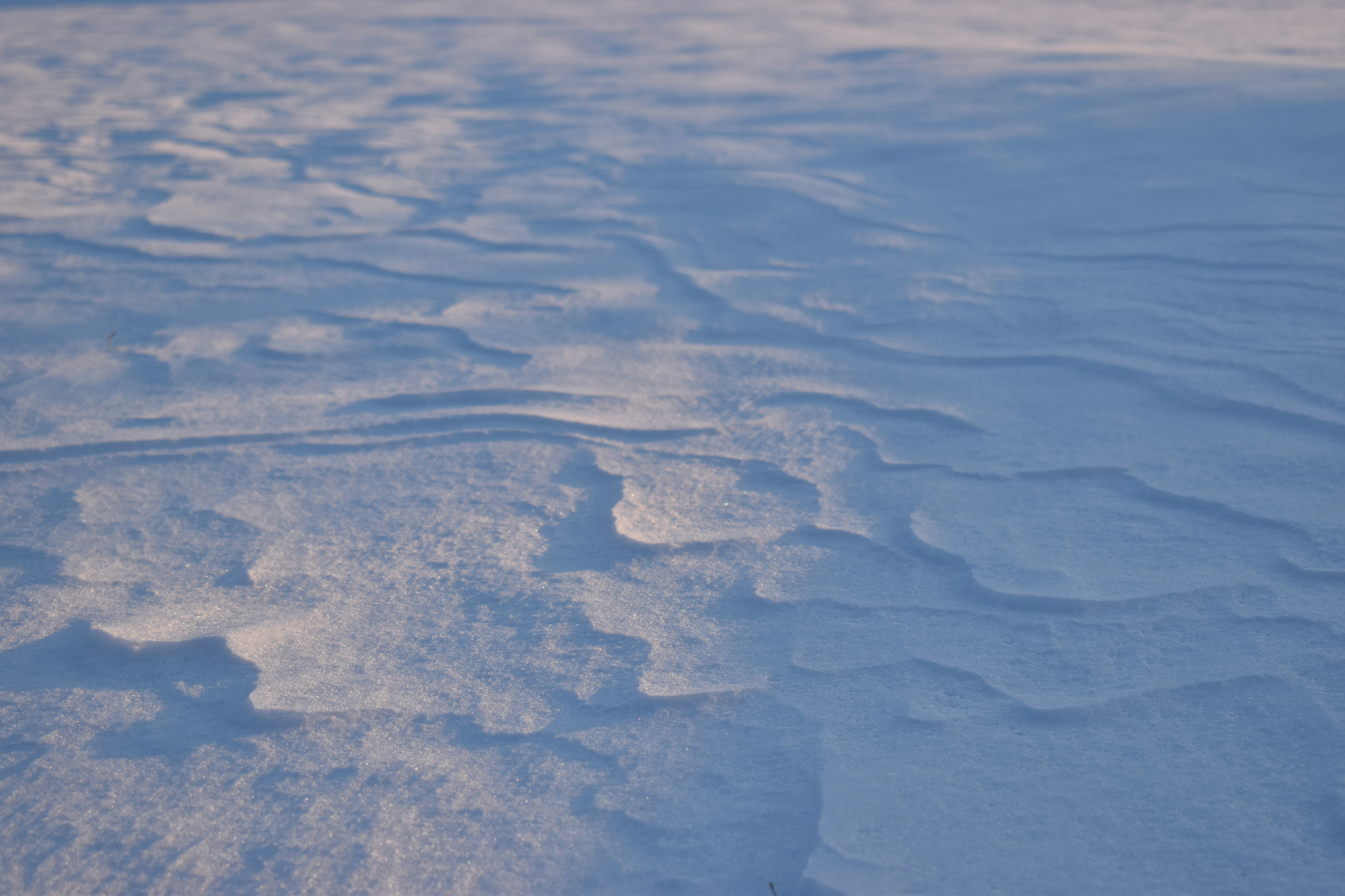 Photo by ssdesignandphotography_