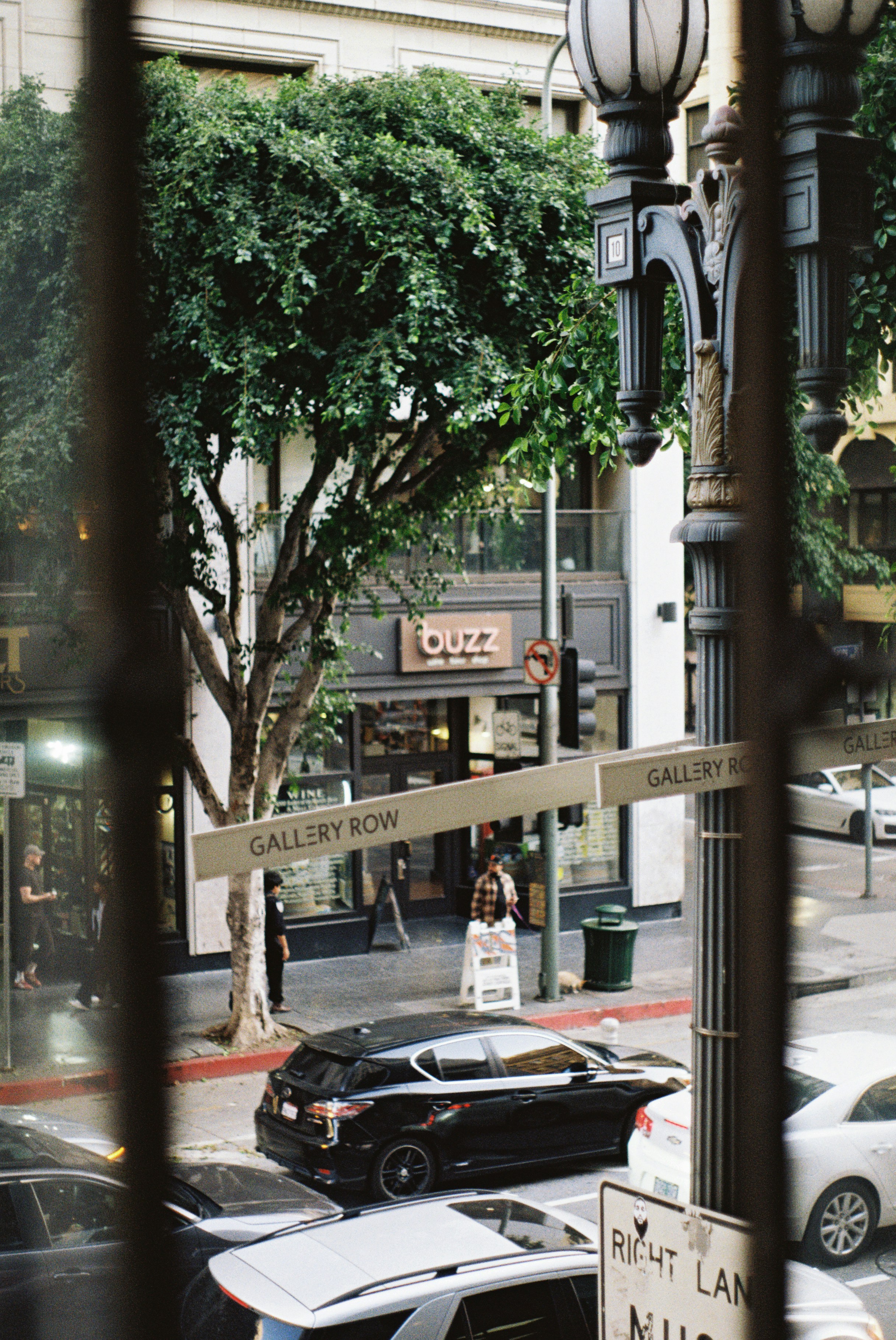 City street with cars and trees seen through bars.