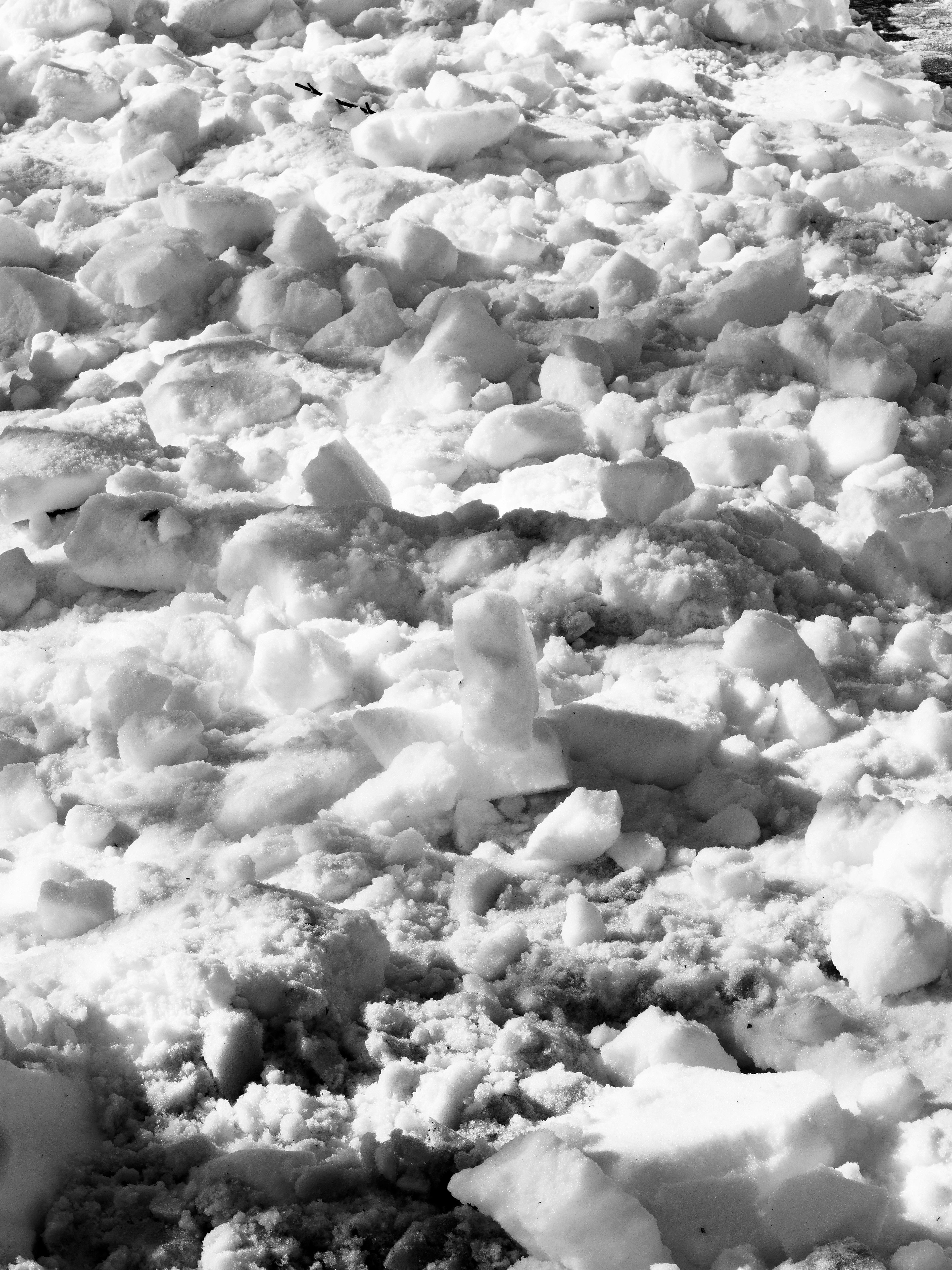 Photo by sschusterphotoart