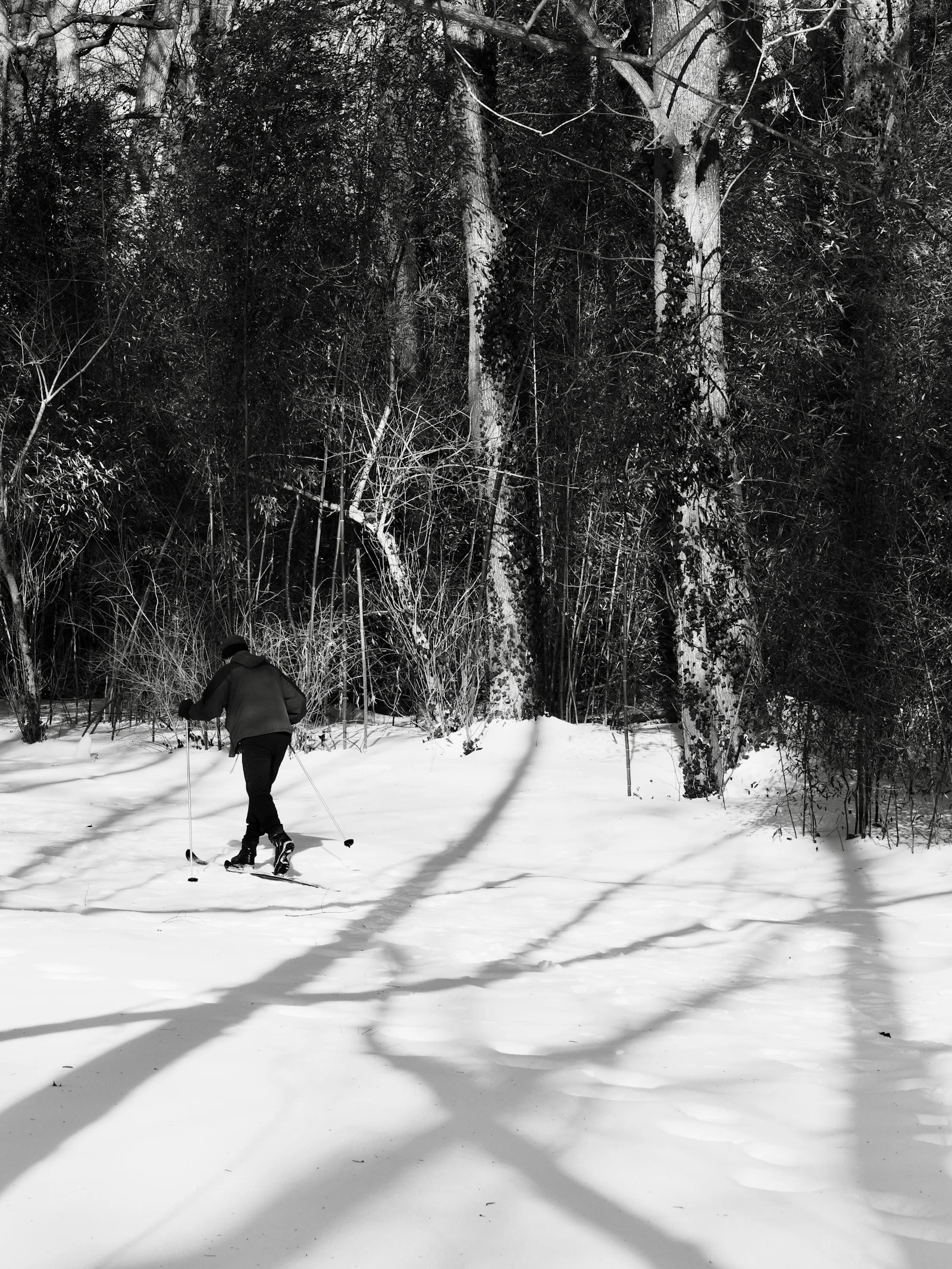 Nordic Ski Starter Set