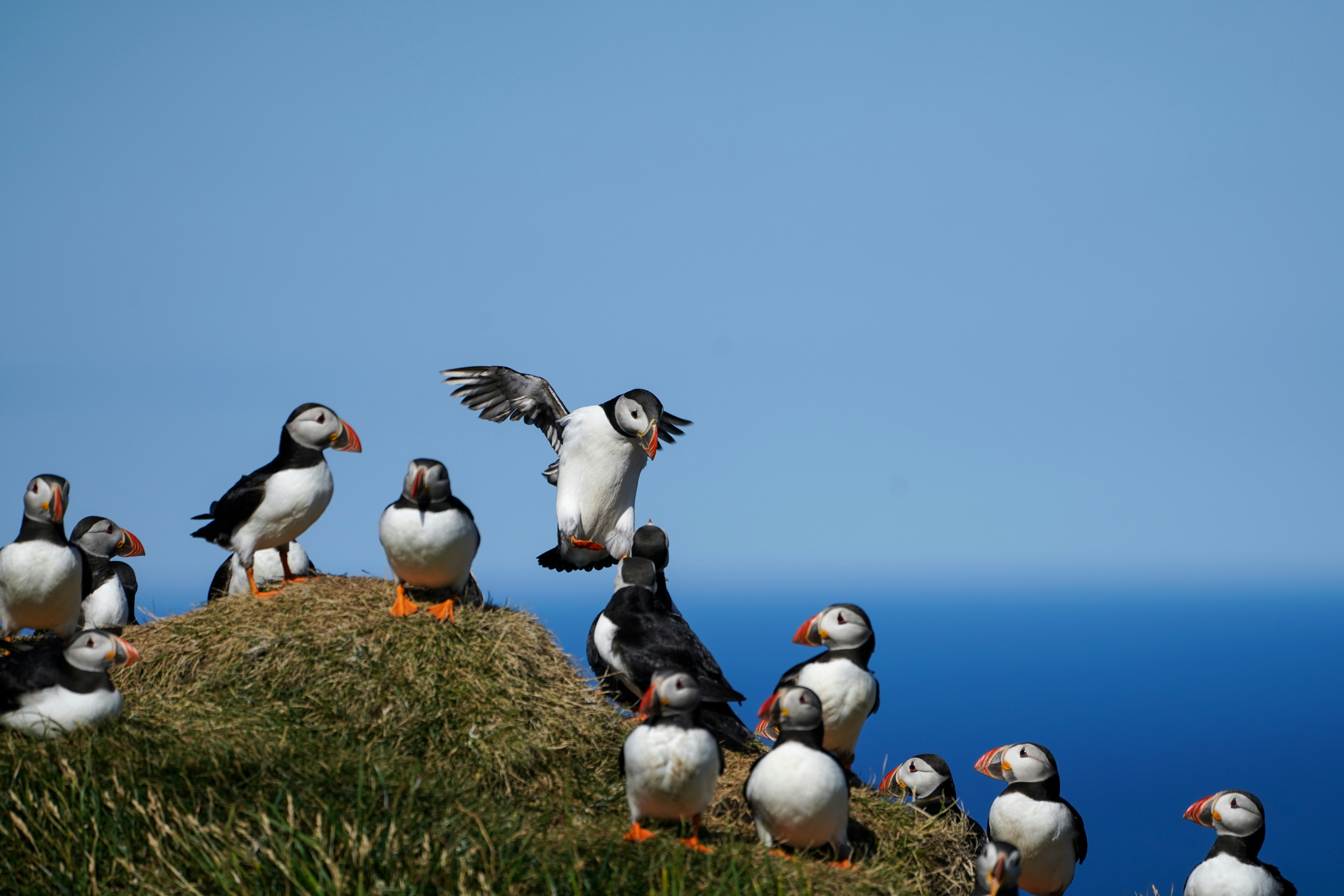 Photo by jacquelinezhuang