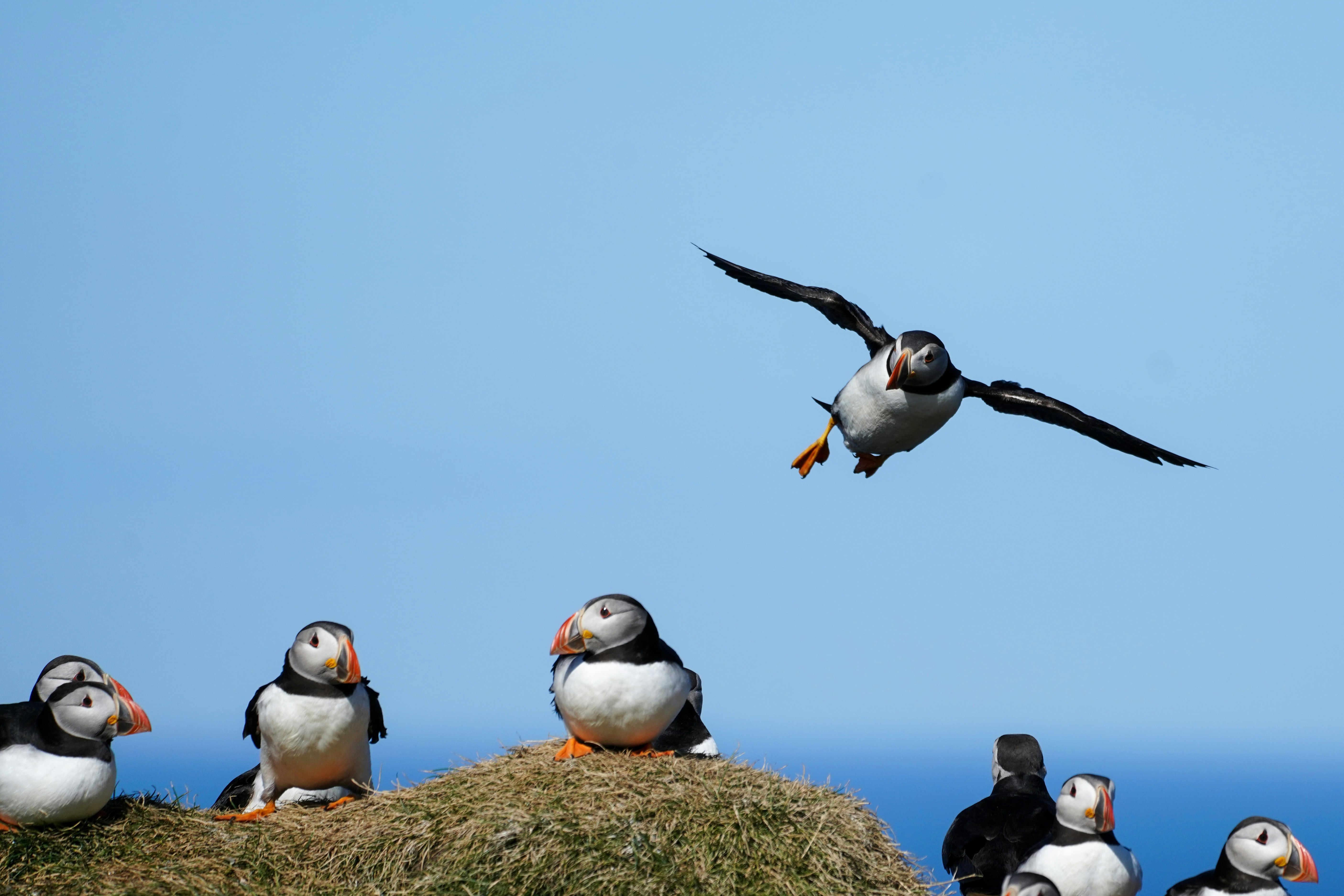 Photo by jacquelinezhuang