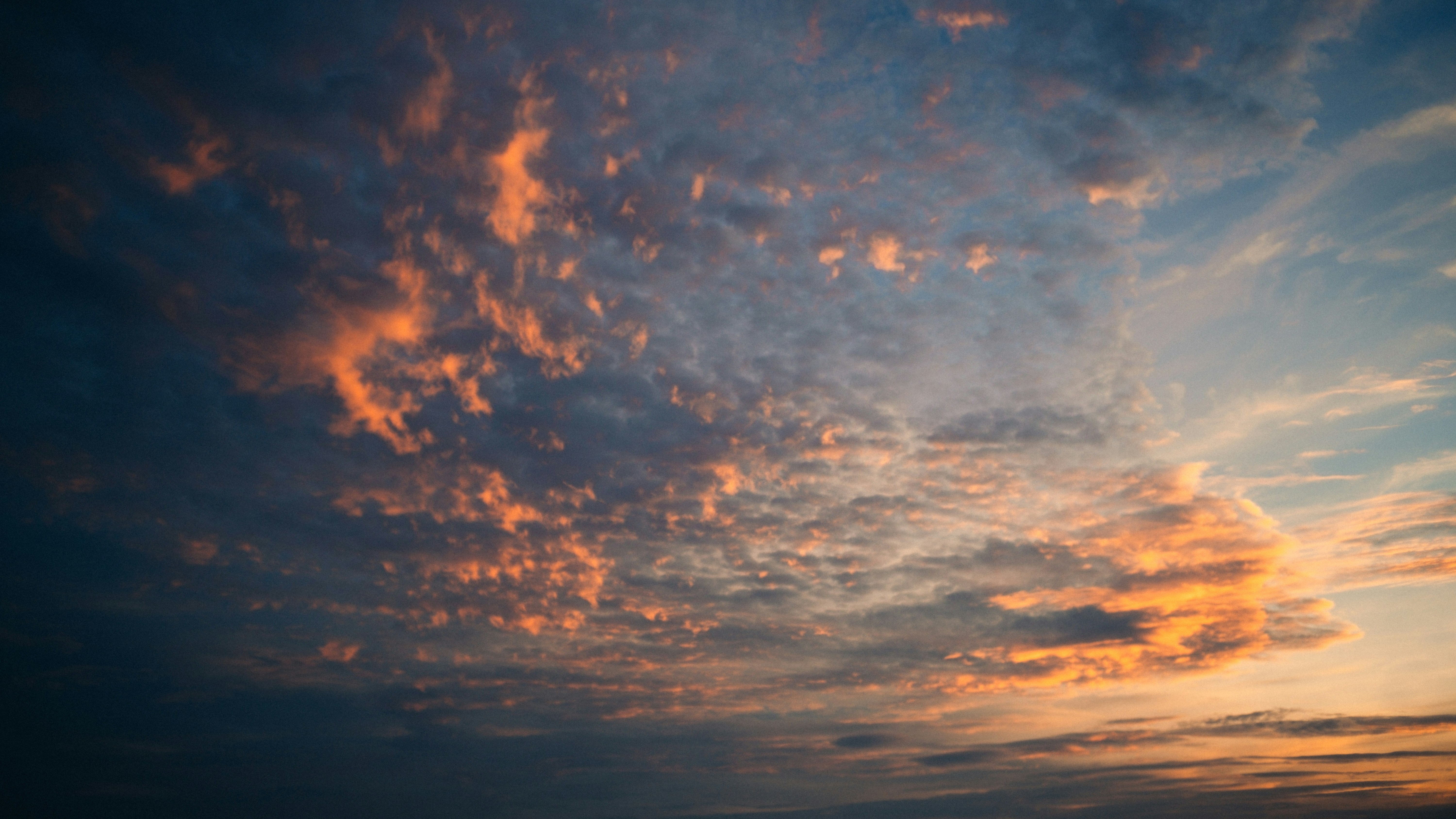 Photo by dying_apricity