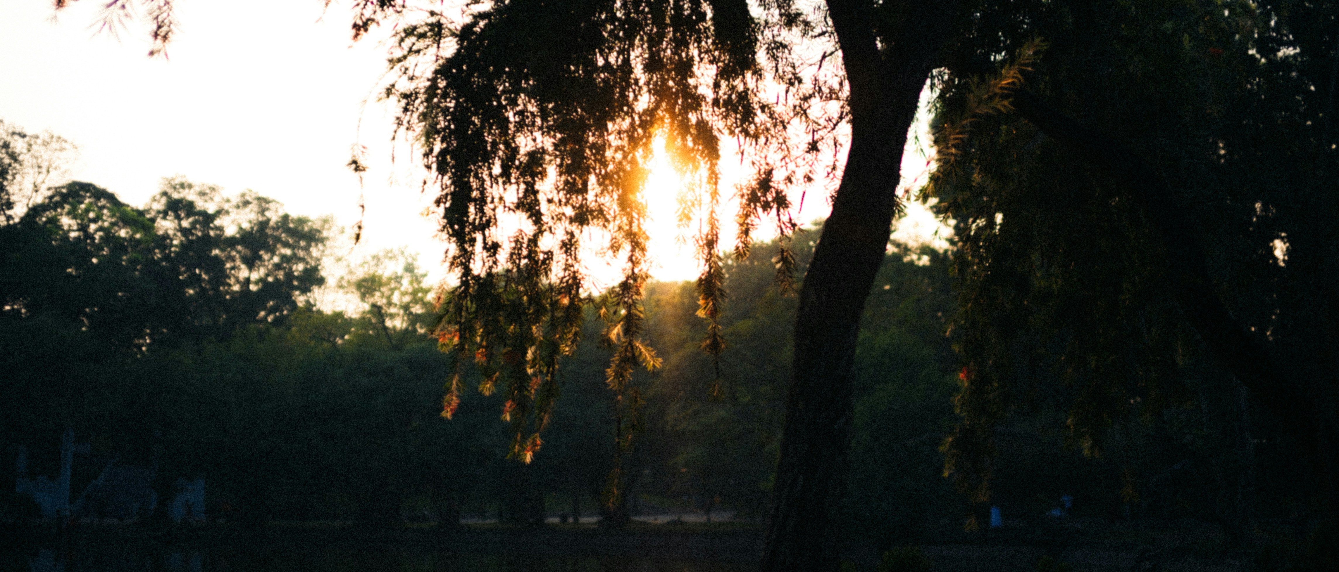 Photo by dying_apricity