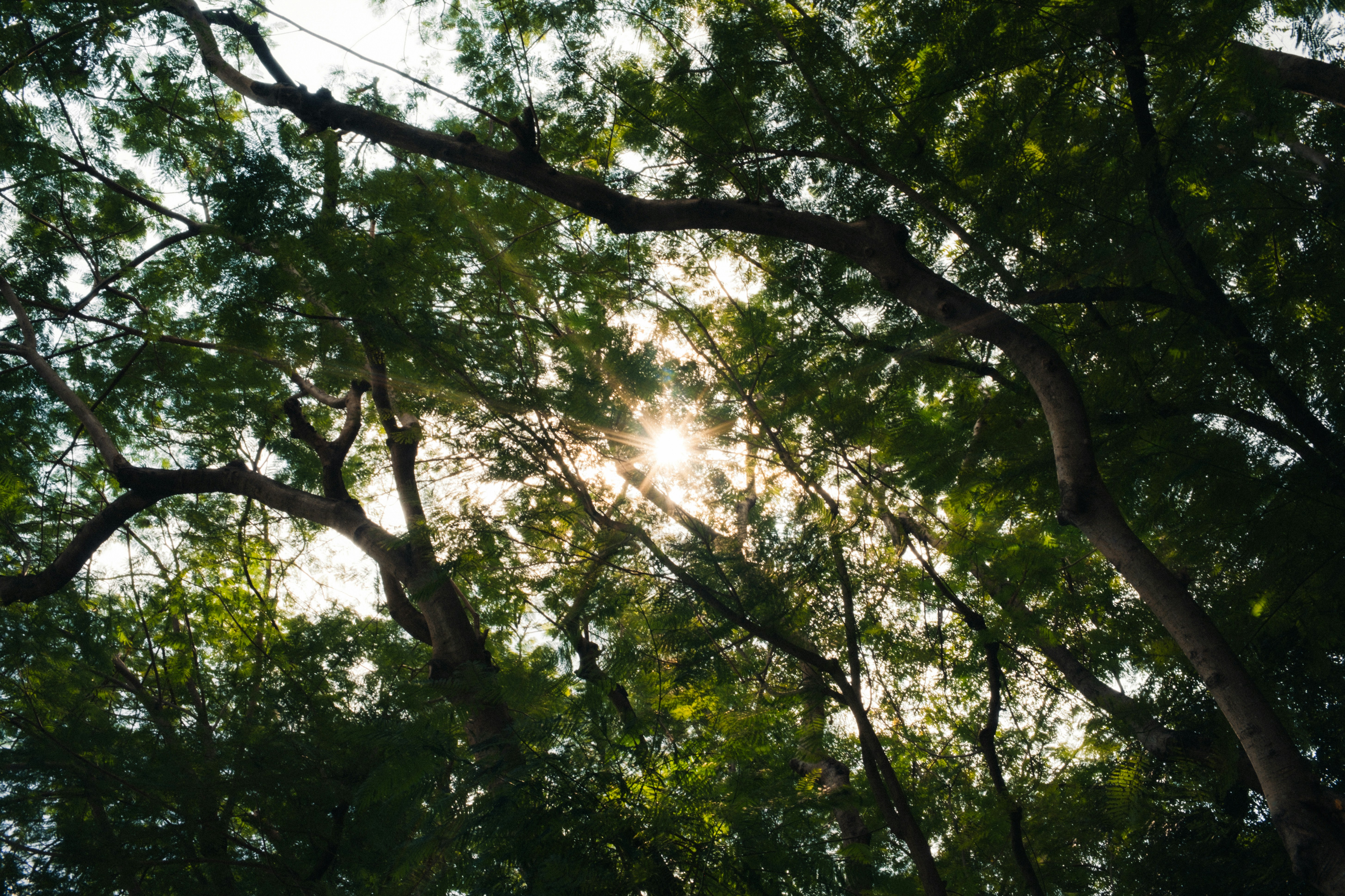 Photo by dying_apricity