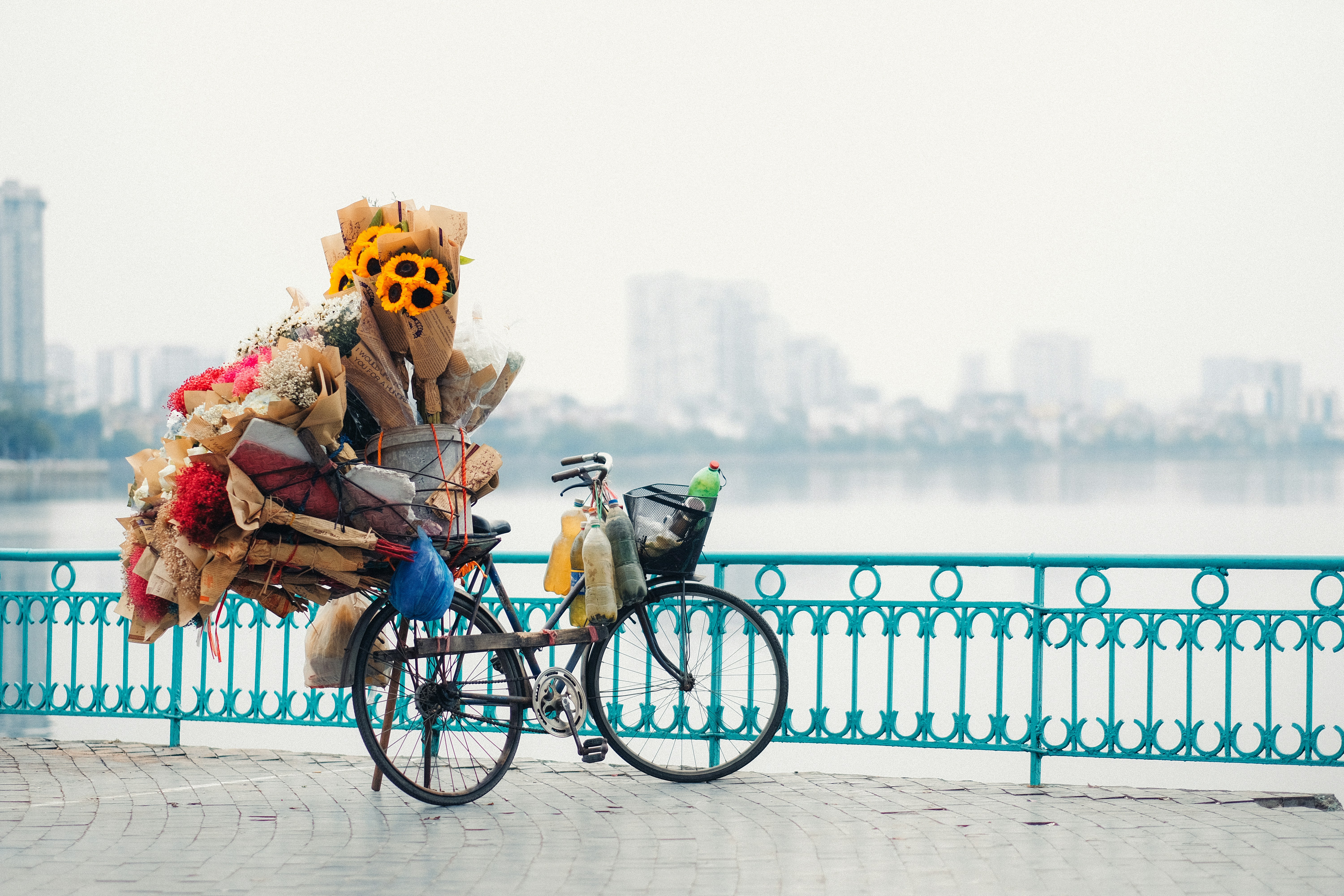 꽃과 물건이 실린 자전거가 해안가 길을 따라 달려 있었다.