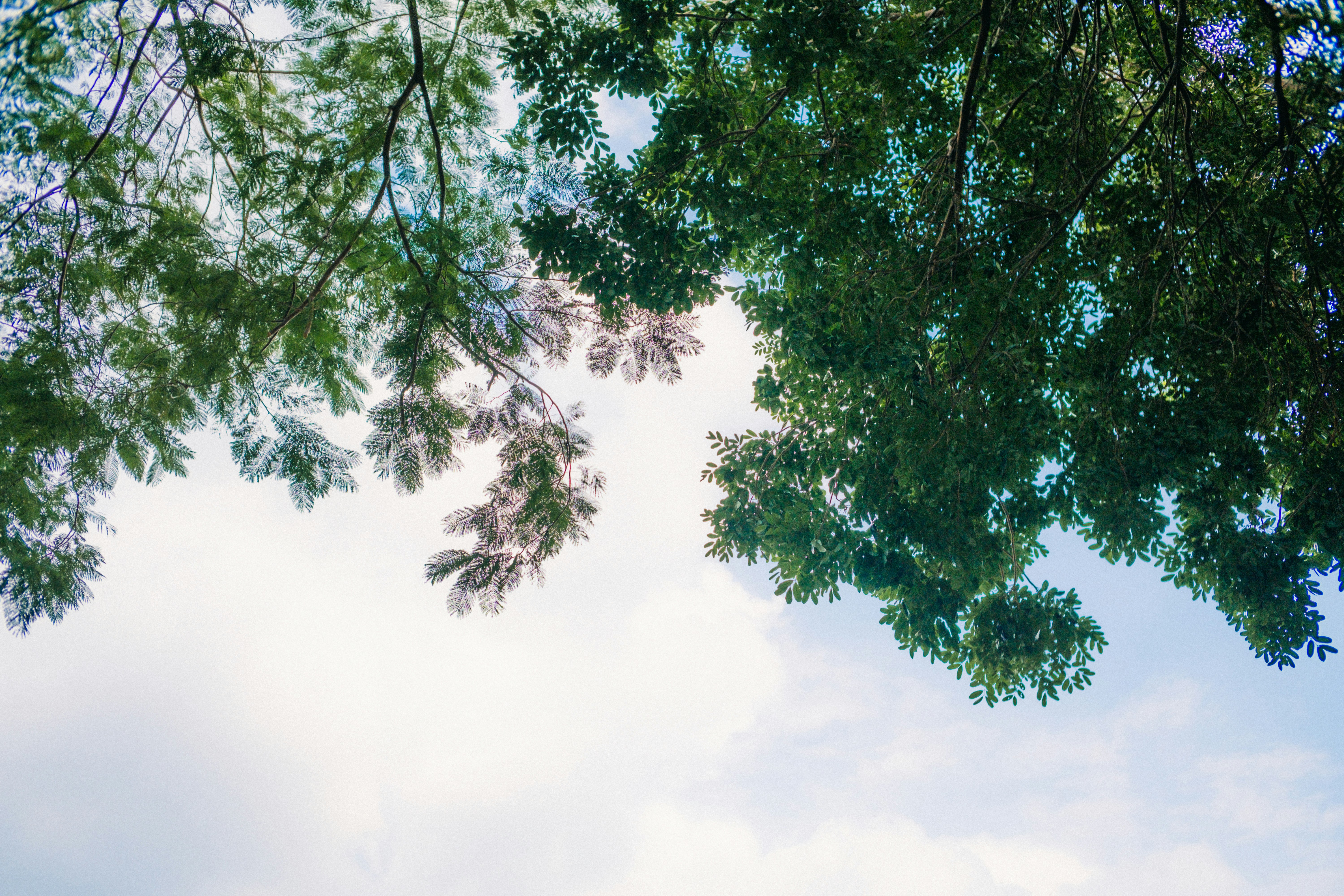 Photo by dying_apricity