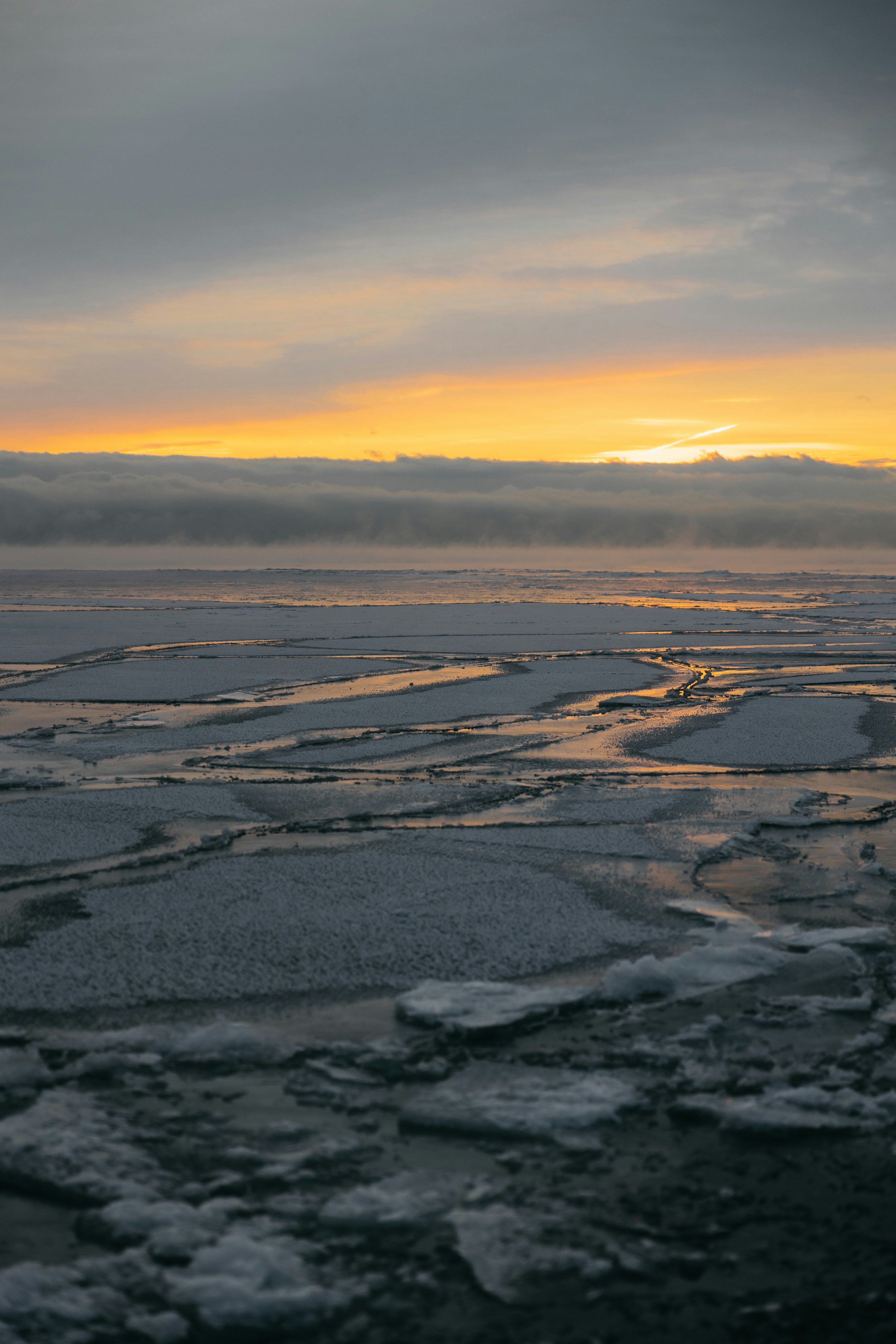 Photo by shotfromdeep